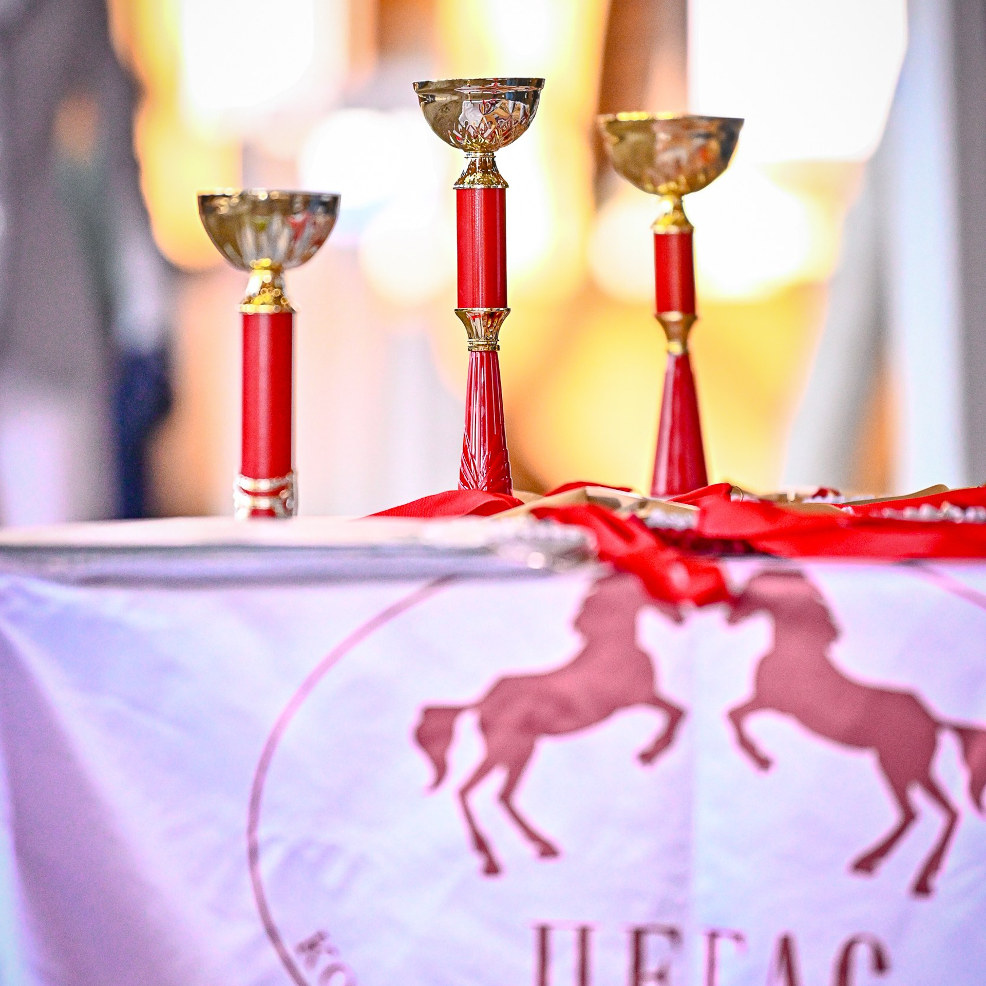 ТУРНИРНАЯ КОННАЯ ФОТОГРАФИЯ, Руднева Ольга и Евгений Адеев