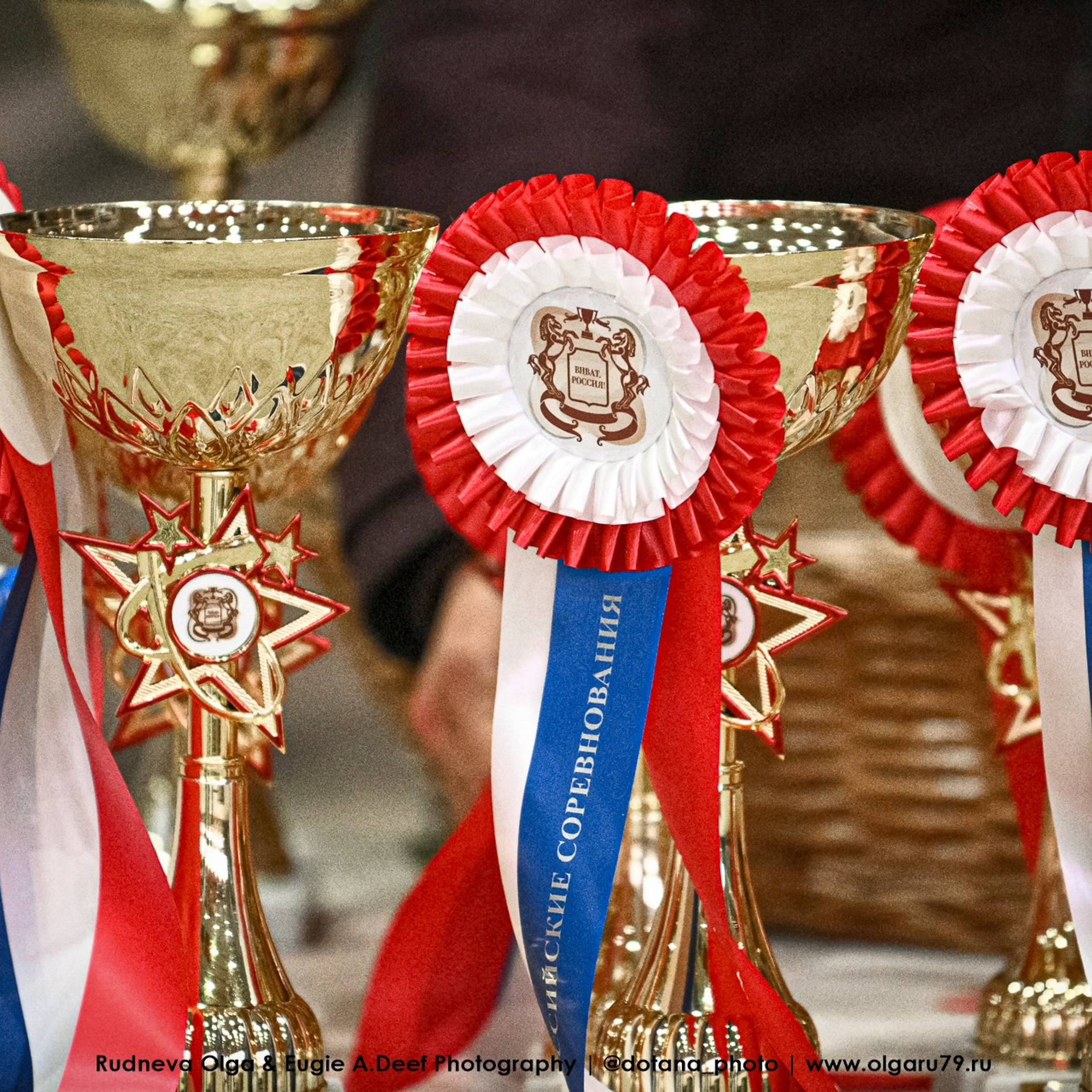 2026 март 14 КСК УРОЖАЙ (ВЫЕЗДКА). ТУРНИРНАЯ КОННАЯ ФОТОГРАФИЯ, Руднева Ольга и Евгений Адеев