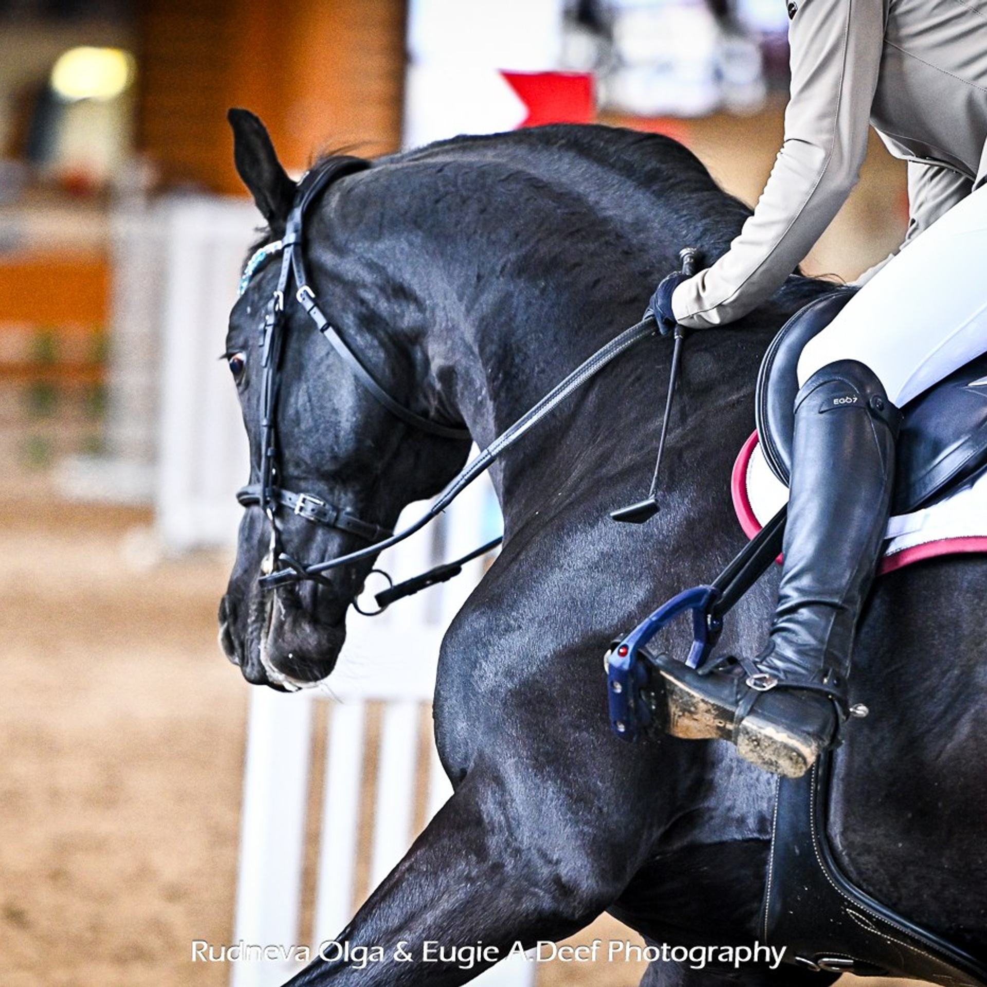 ТУРНИРНАЯ КОННАЯ ФОТОГРАФИЯ, Руднева Ольга и Евгений Адеев