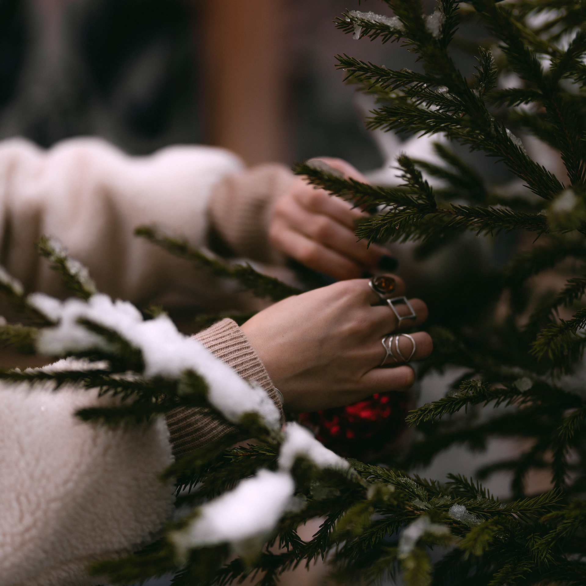 Камилла | Новогодняя. W&T Studio Studio photo and video content creation