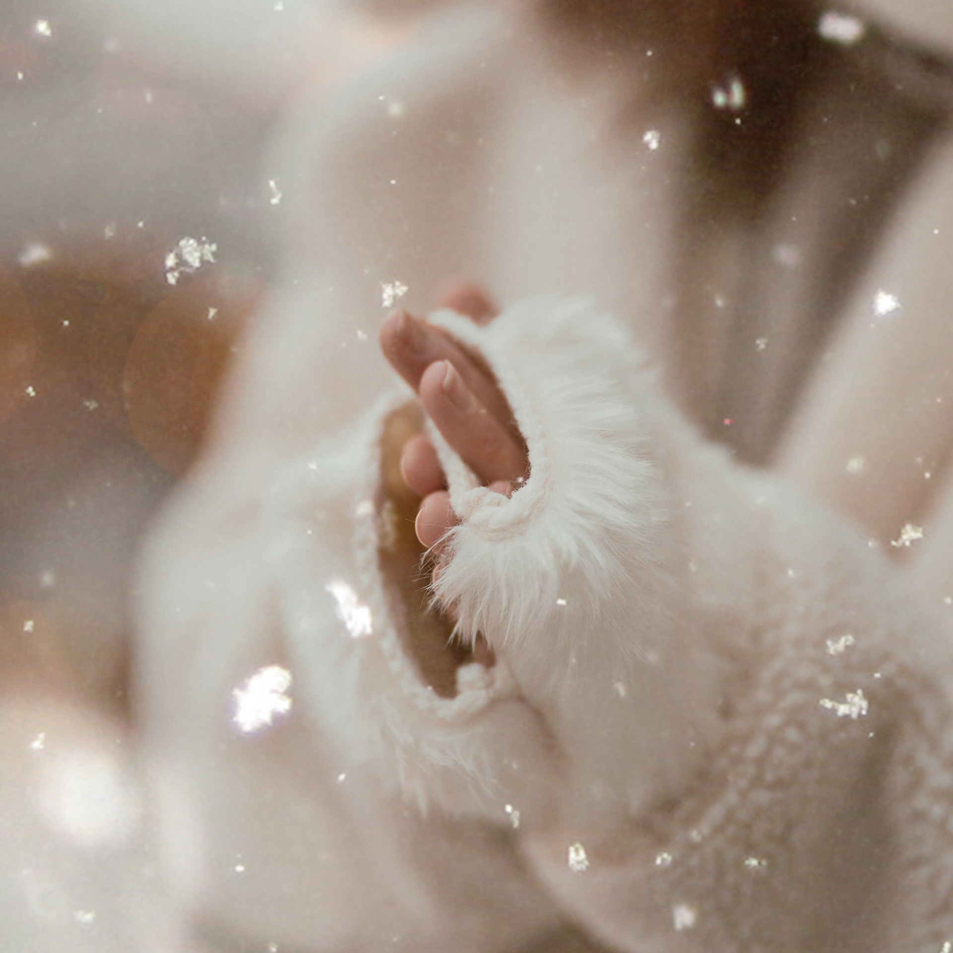 Карина | Новогодняя. W&T Studio Студия фото и видео съемки