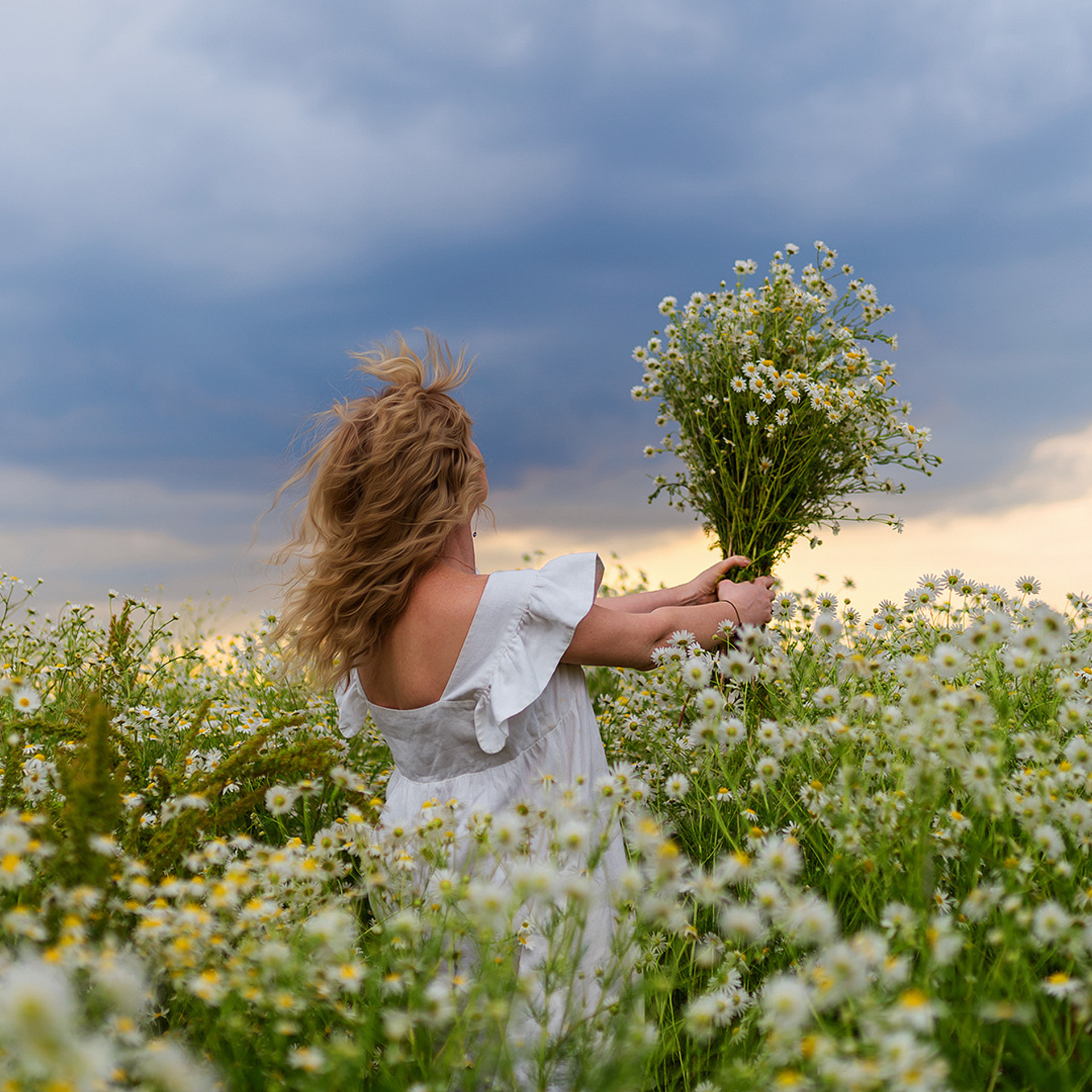 Наташа и Петя | Ромашки