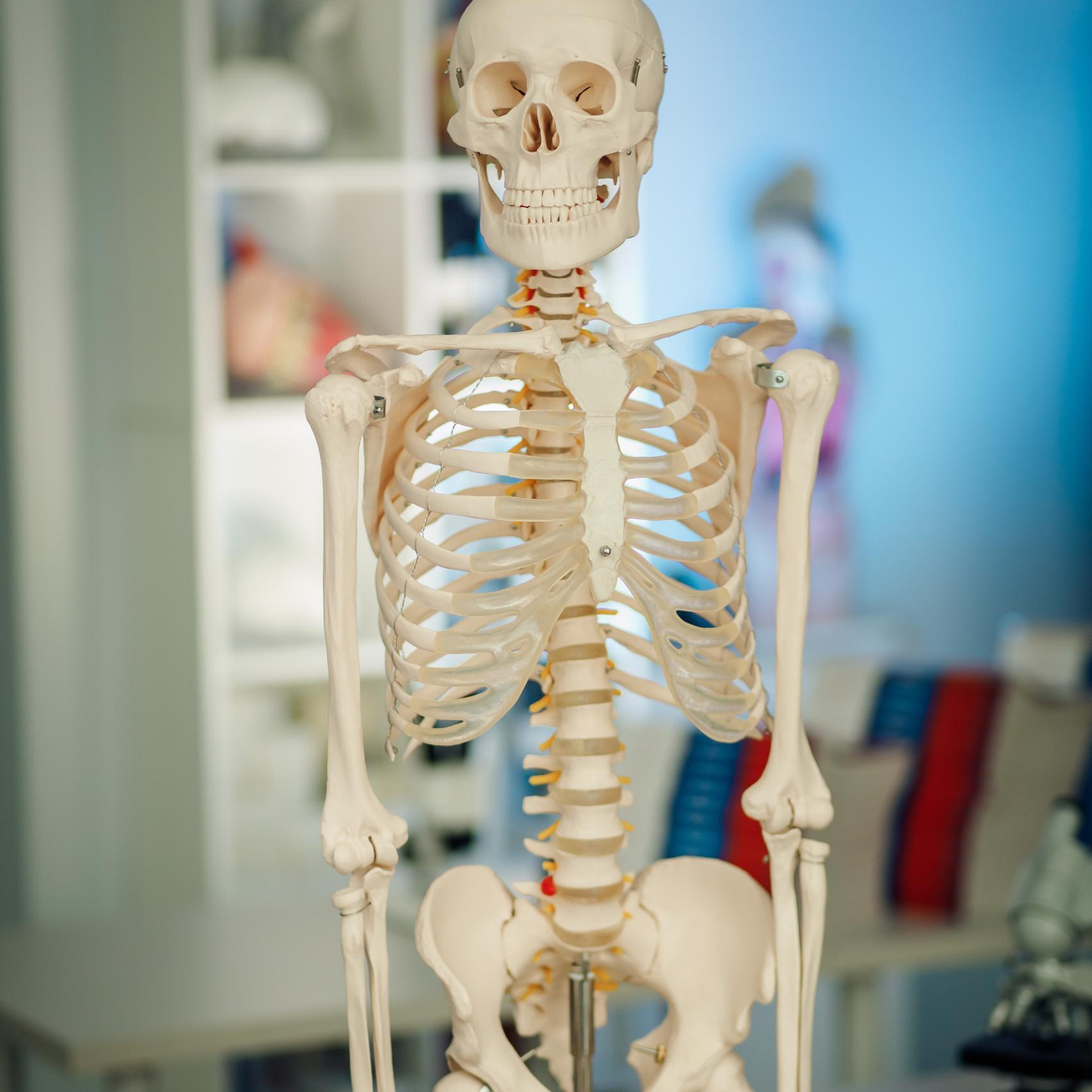 Отзывы. Выпускные альбомы в Санкт-Петербурге. Фотограф Александр Максимов