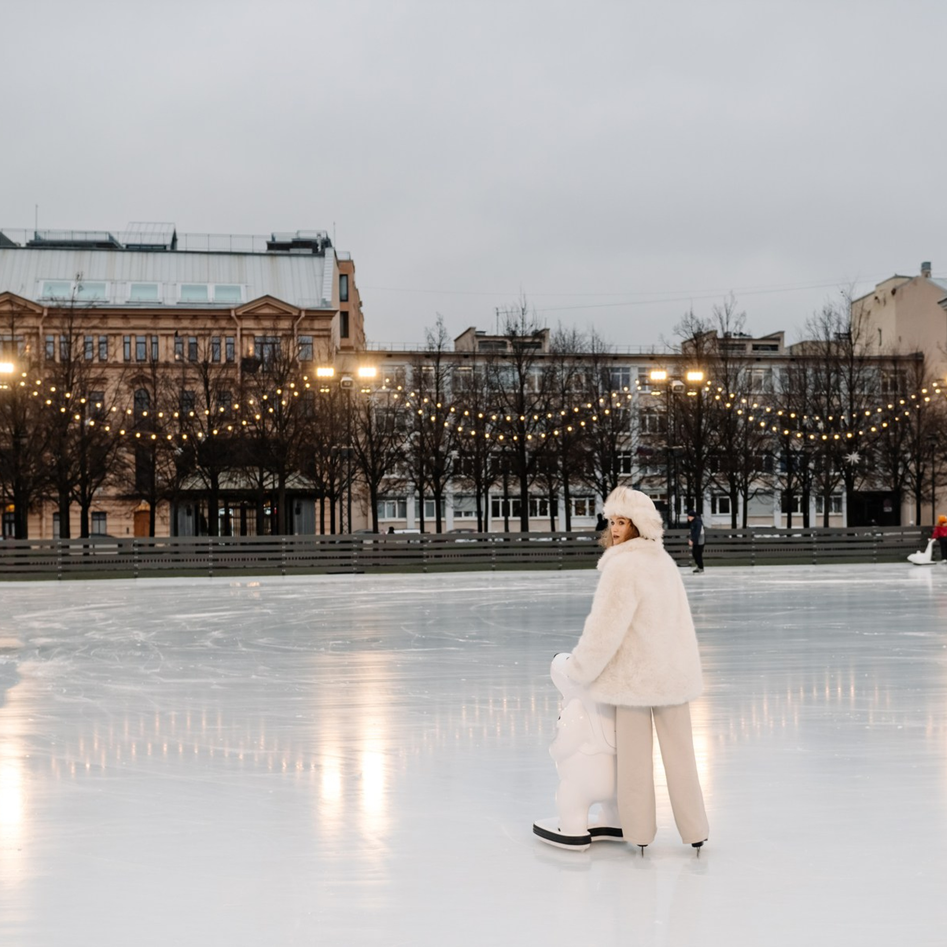 Индивидуальная. Каток в Новой Голландии