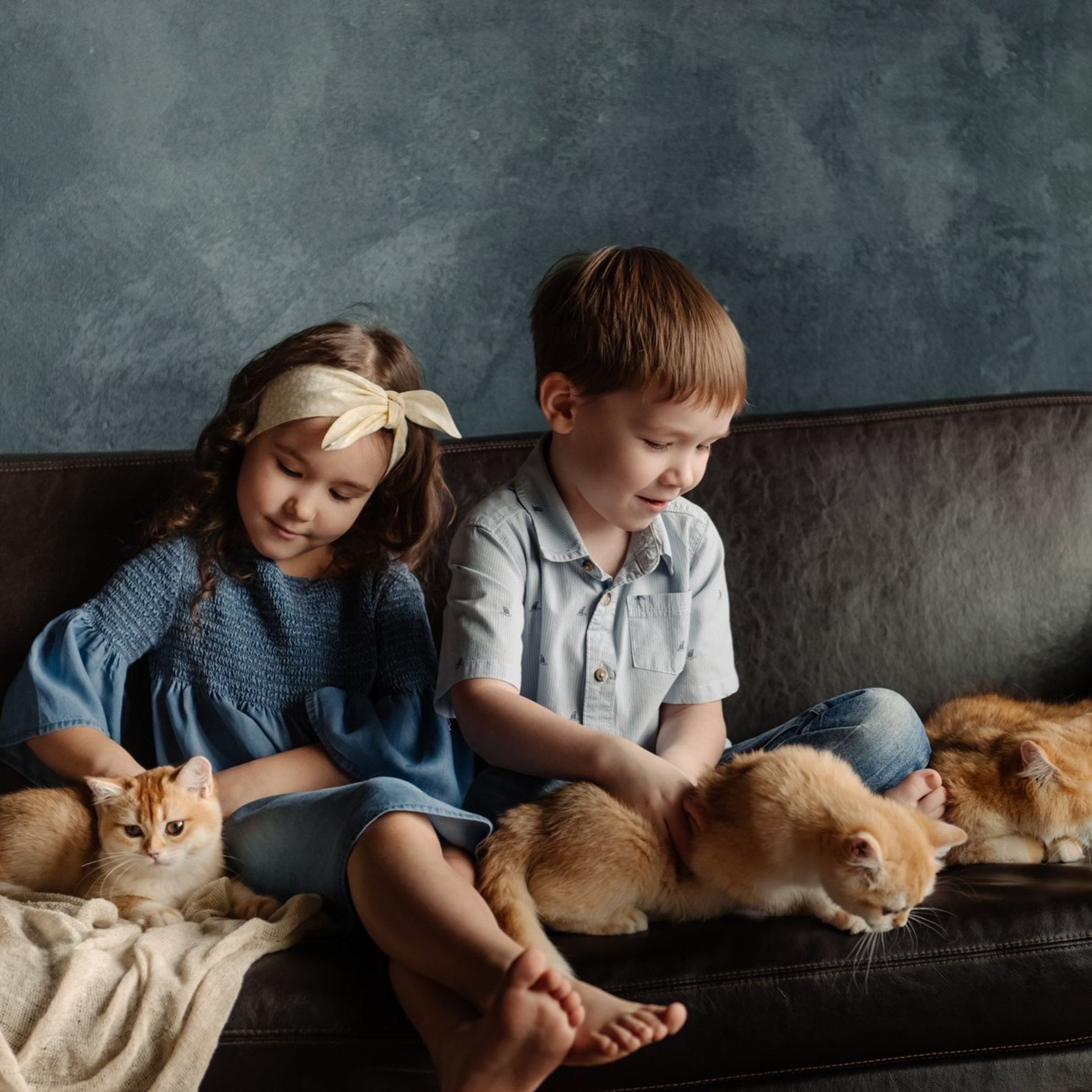 Детская с котятами