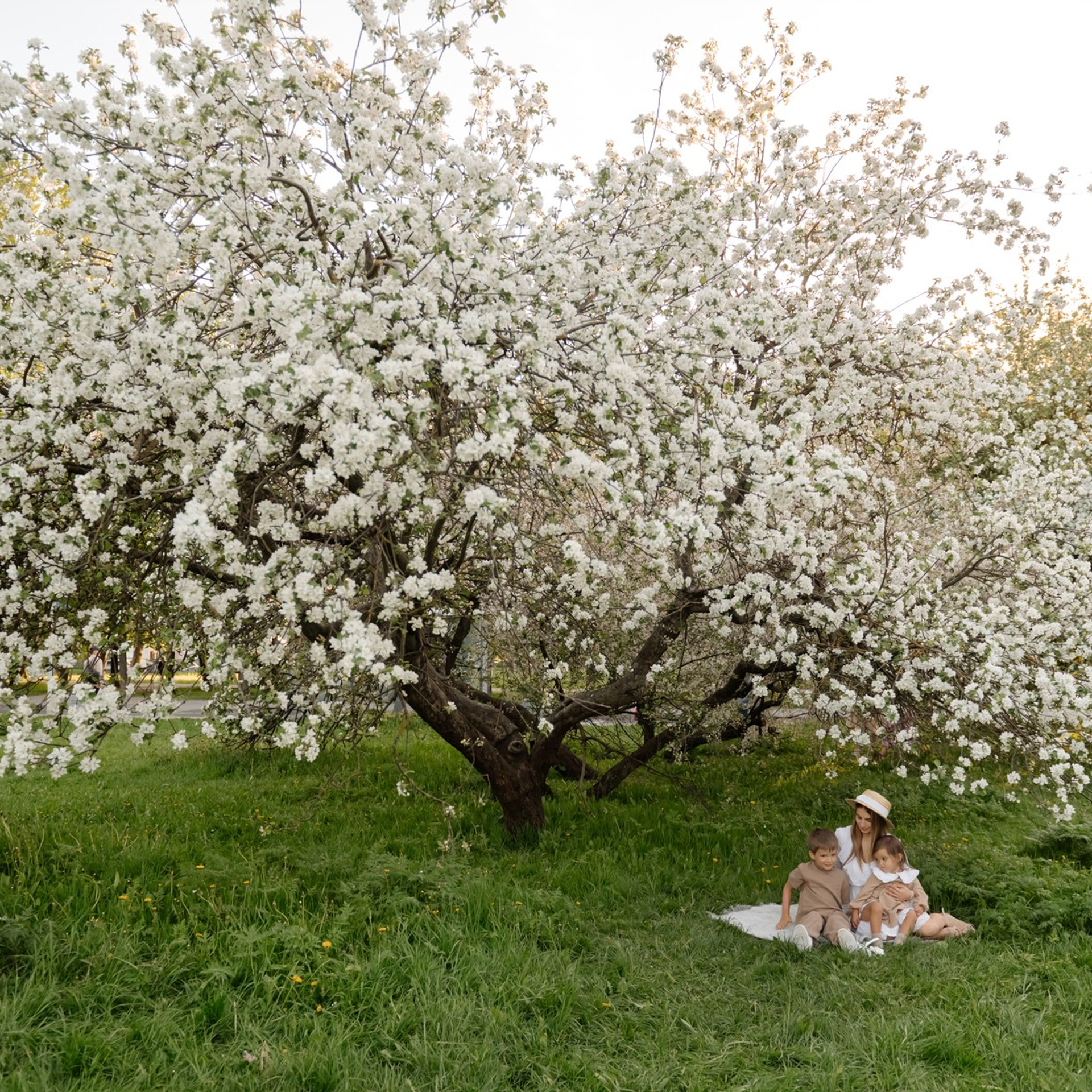 Фотосессия в&nbsp;яблонях