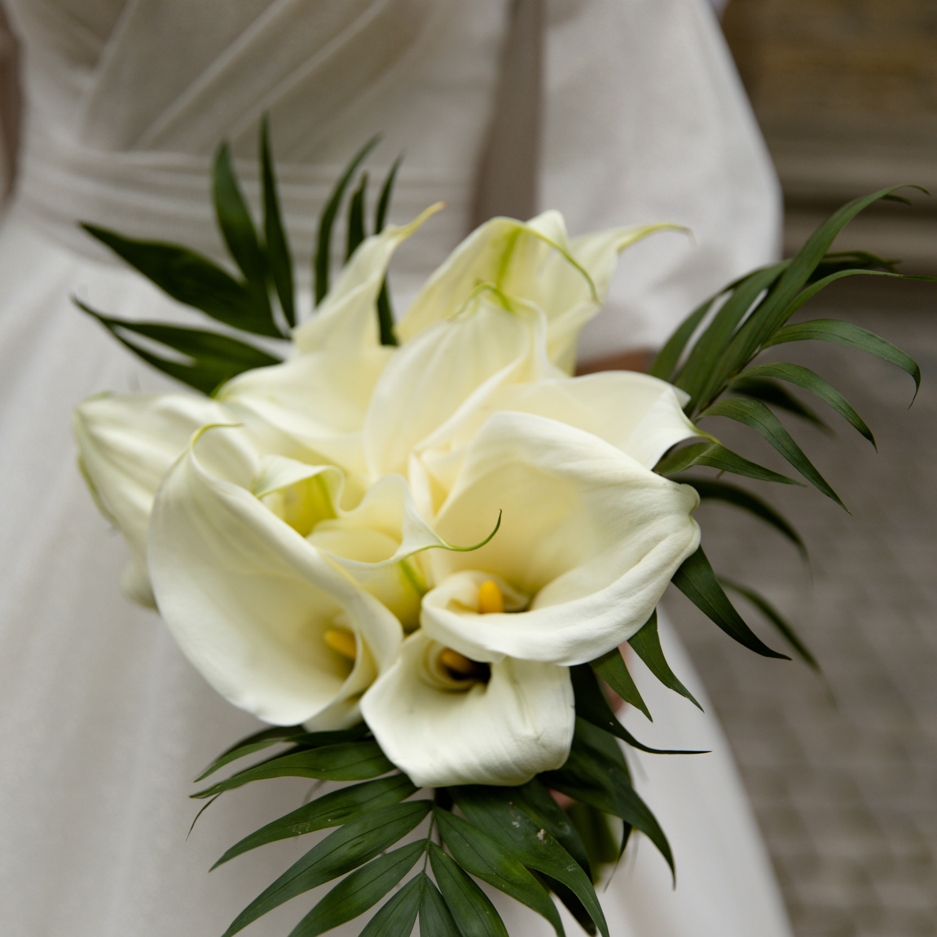 Отзывы. Свадебный и семейный фотограф Евгения Привалова. Новороссийск. Анапа