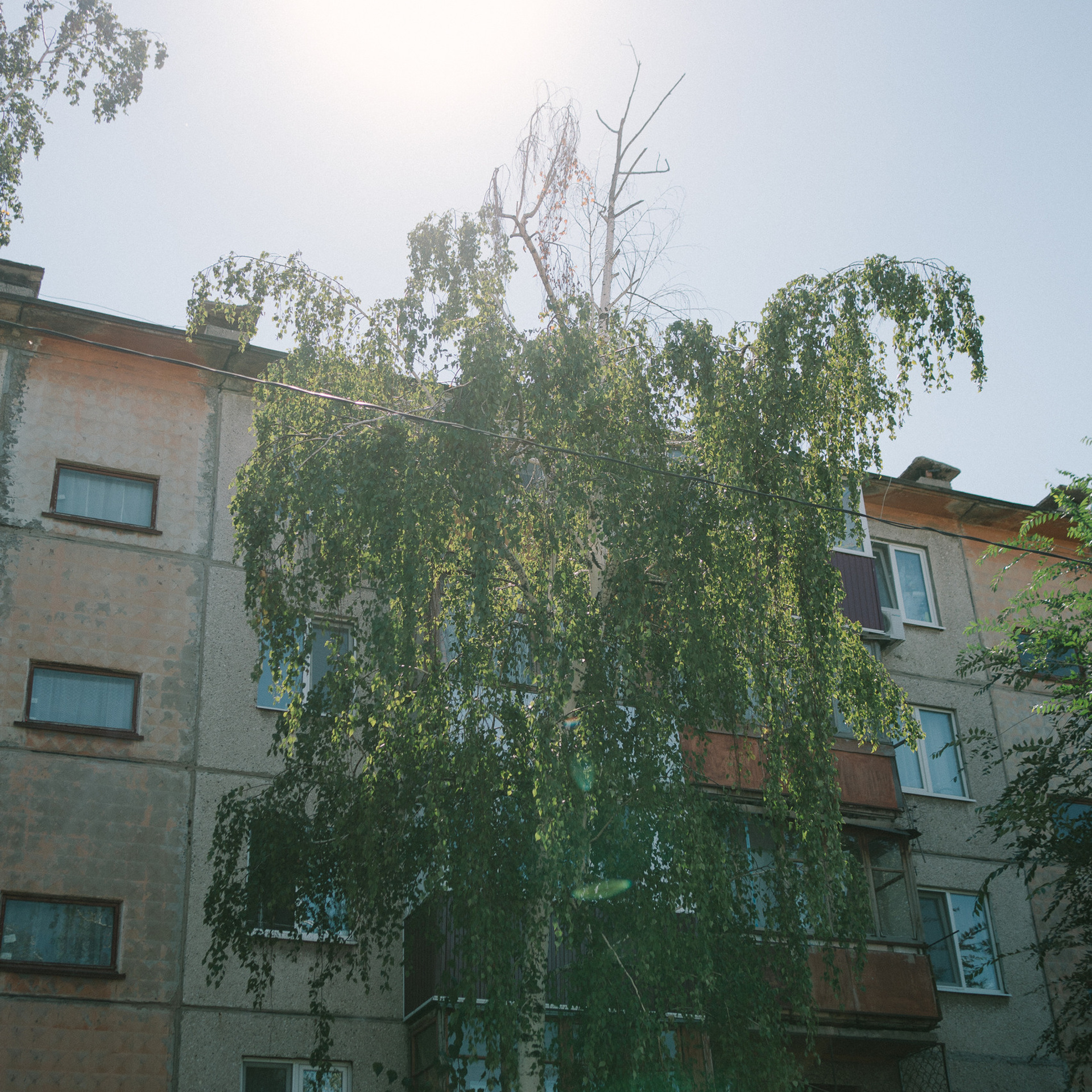 Отзывы. Главная