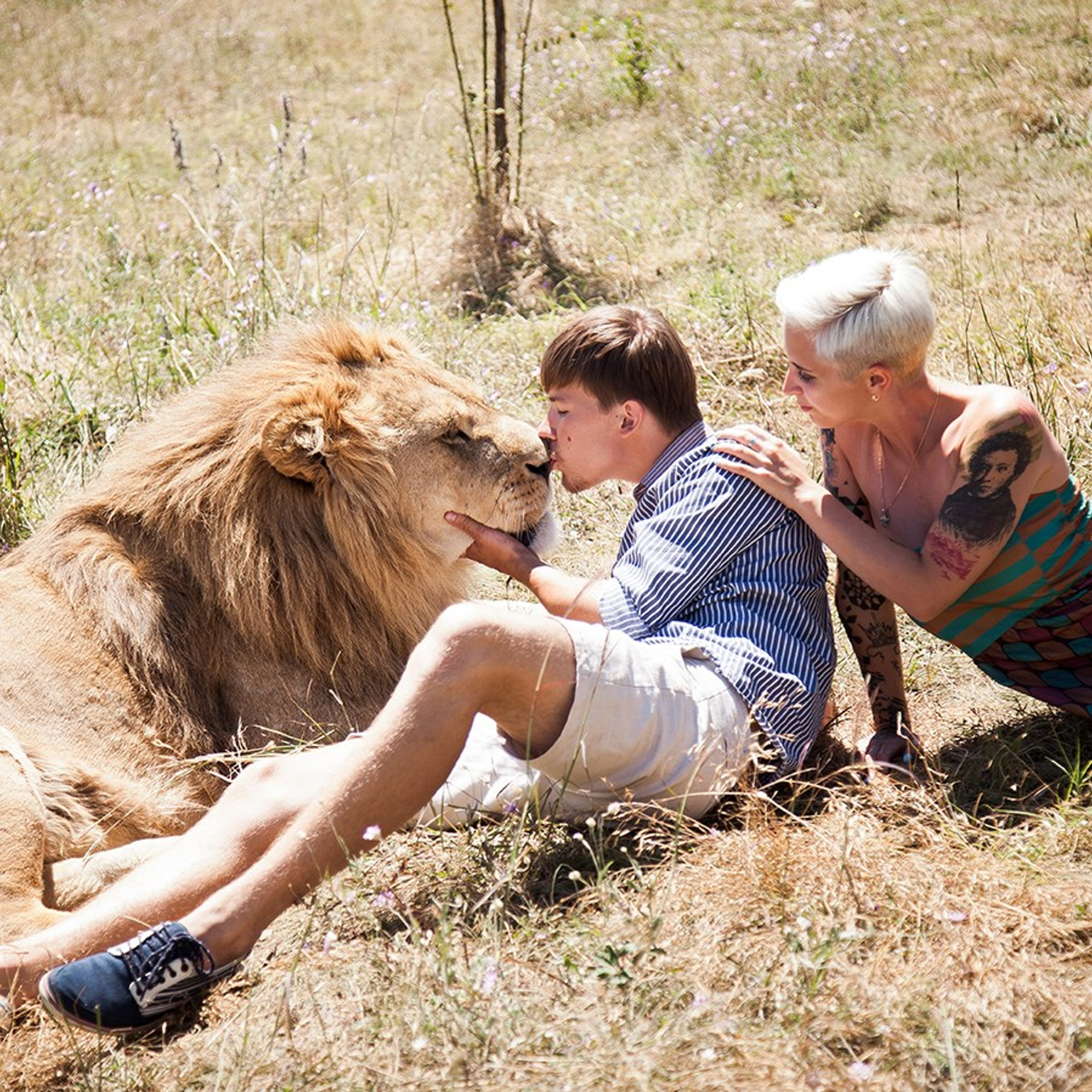 Жизнь в Прайде