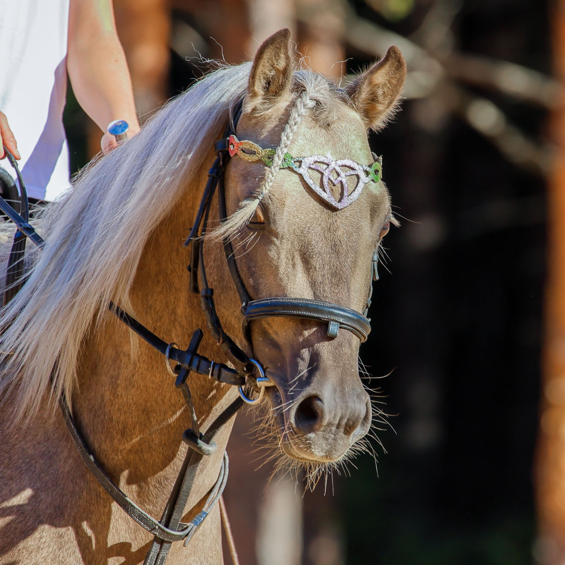 Отзывы. Irenephoto.ru