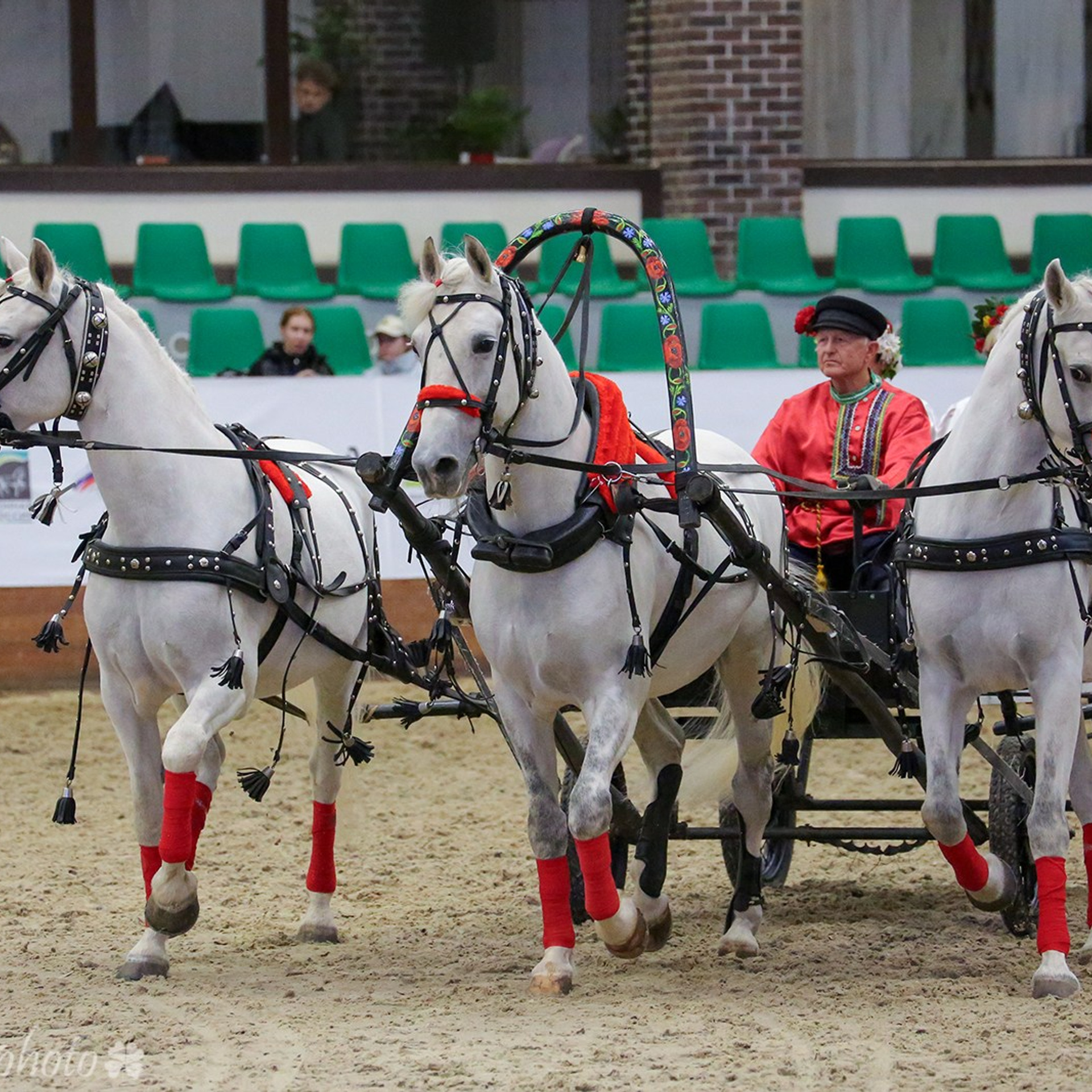 Конная Россия 2023