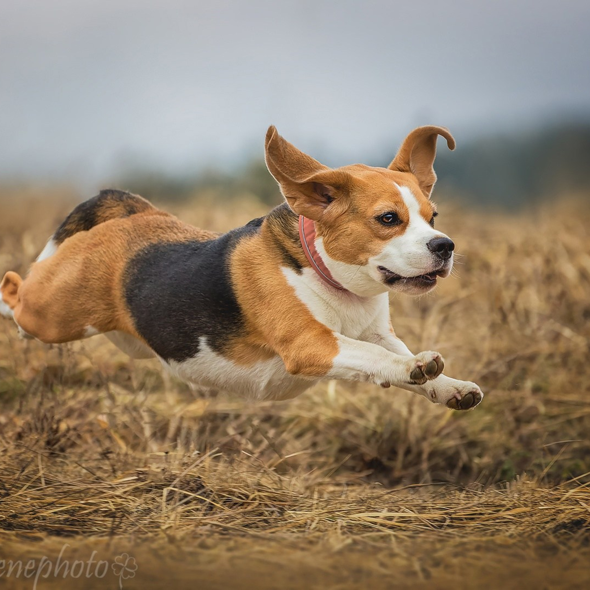 Lure Club май 2024