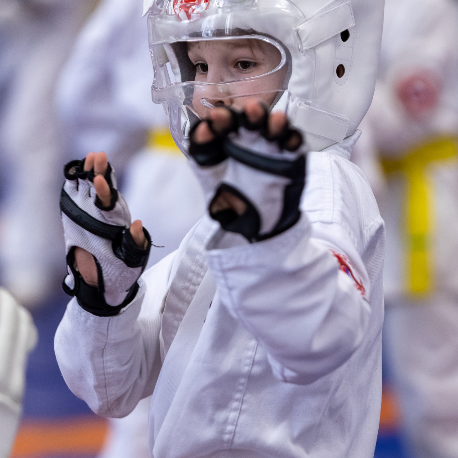 Открытый урок по&nbsp;карате февраль 2026