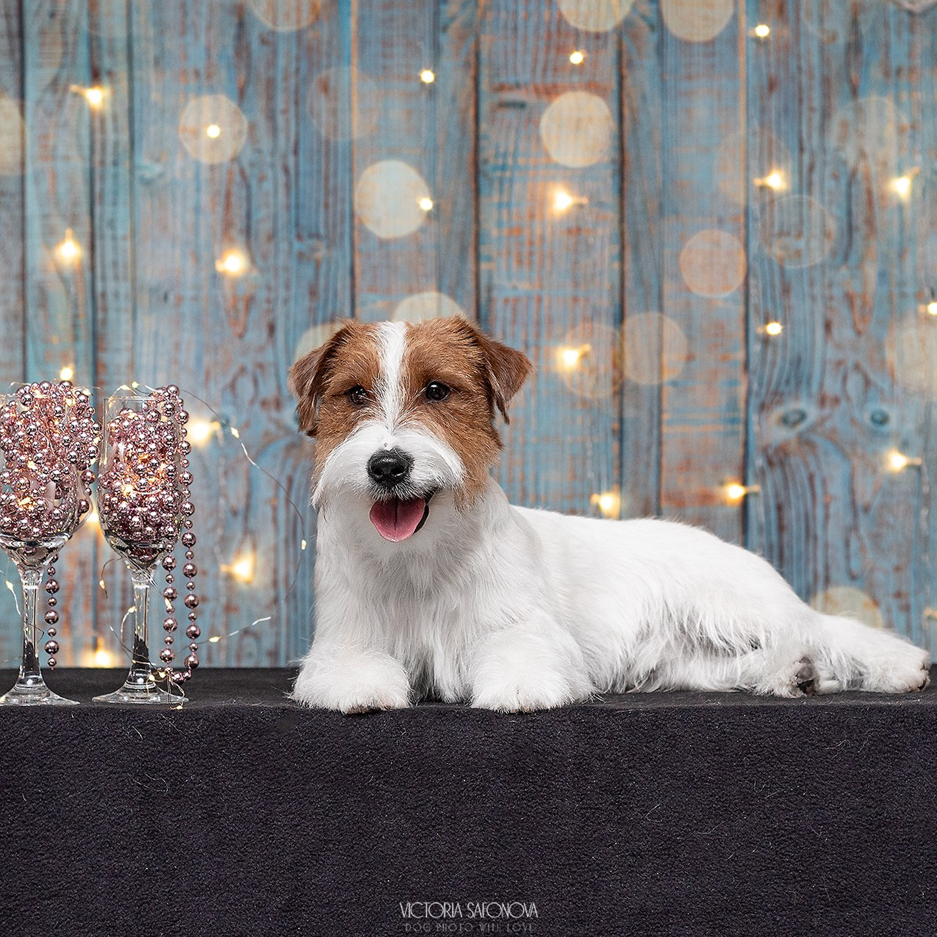 Висп и Перчик