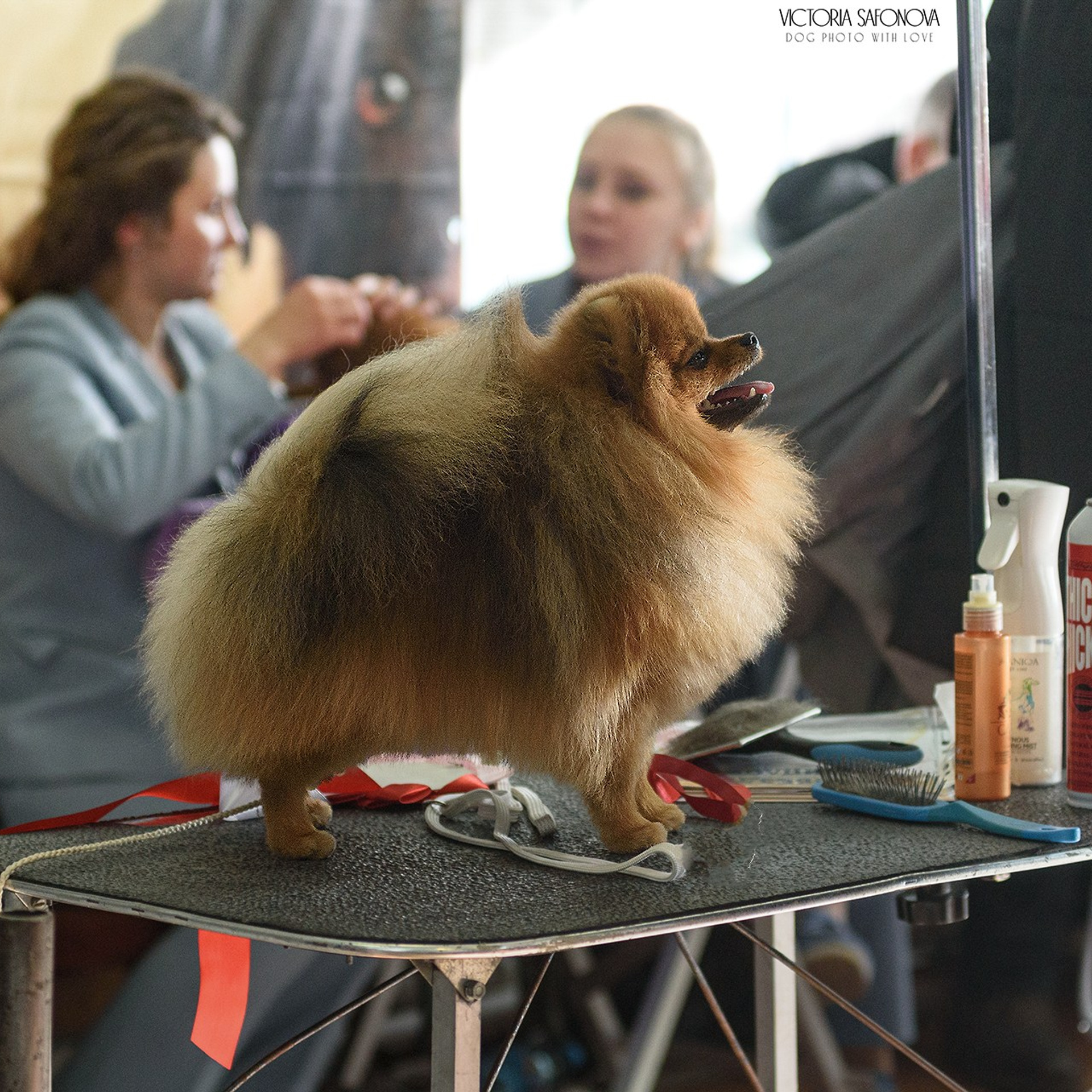 3–4 февраля 2024 Благовещенск