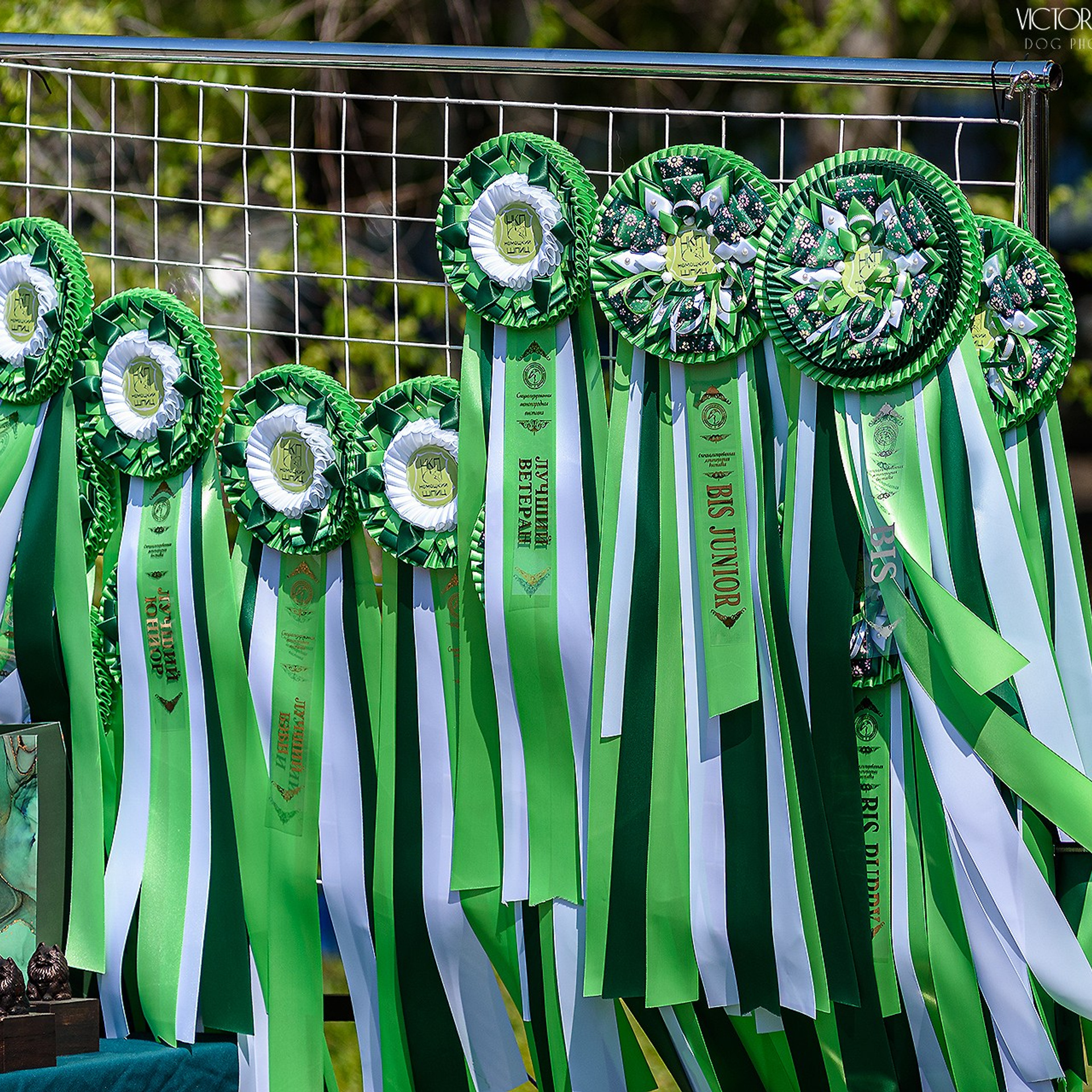 18–19 мая 2024 Благовещенск