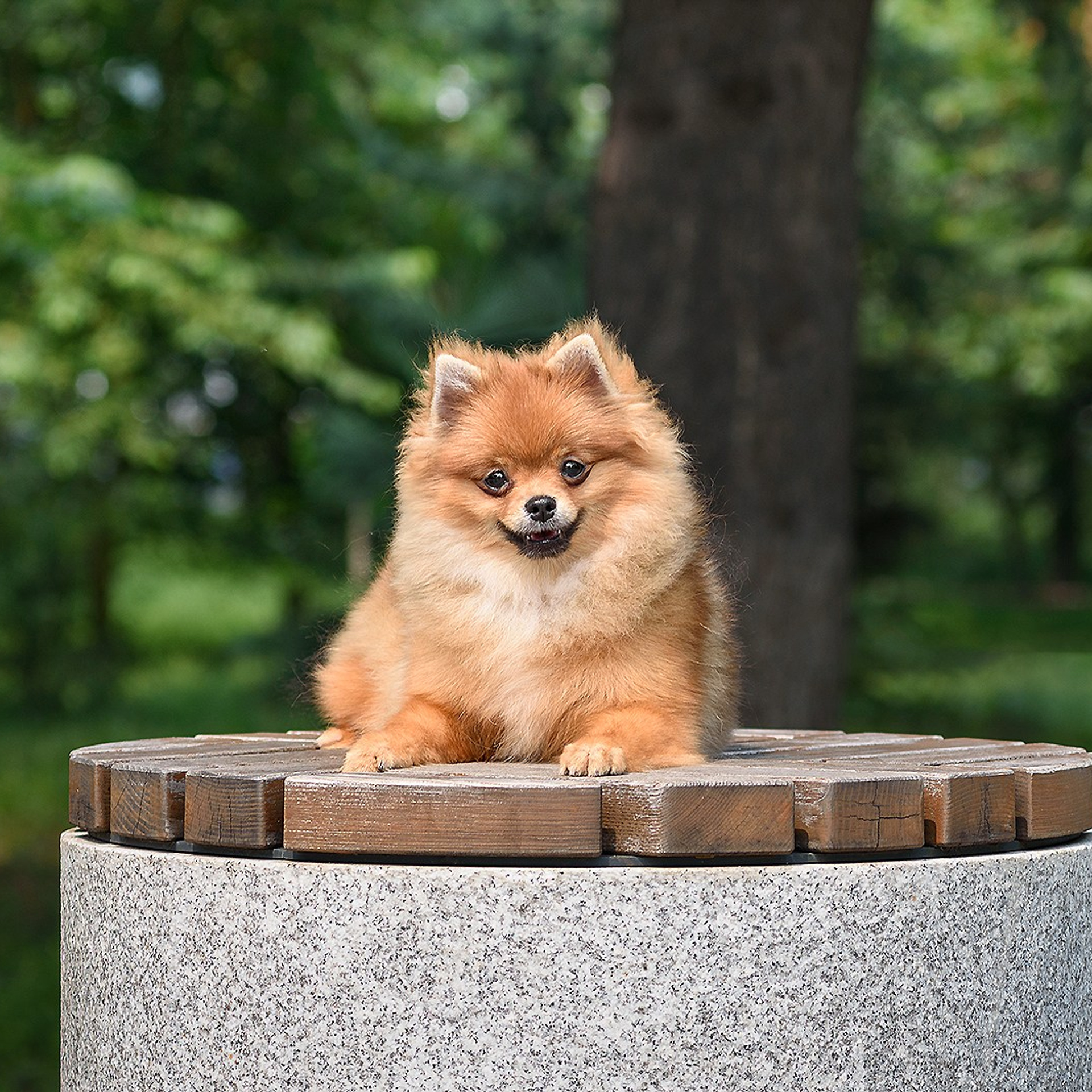 Шаня, Шуша и Тёма 26.07.2023