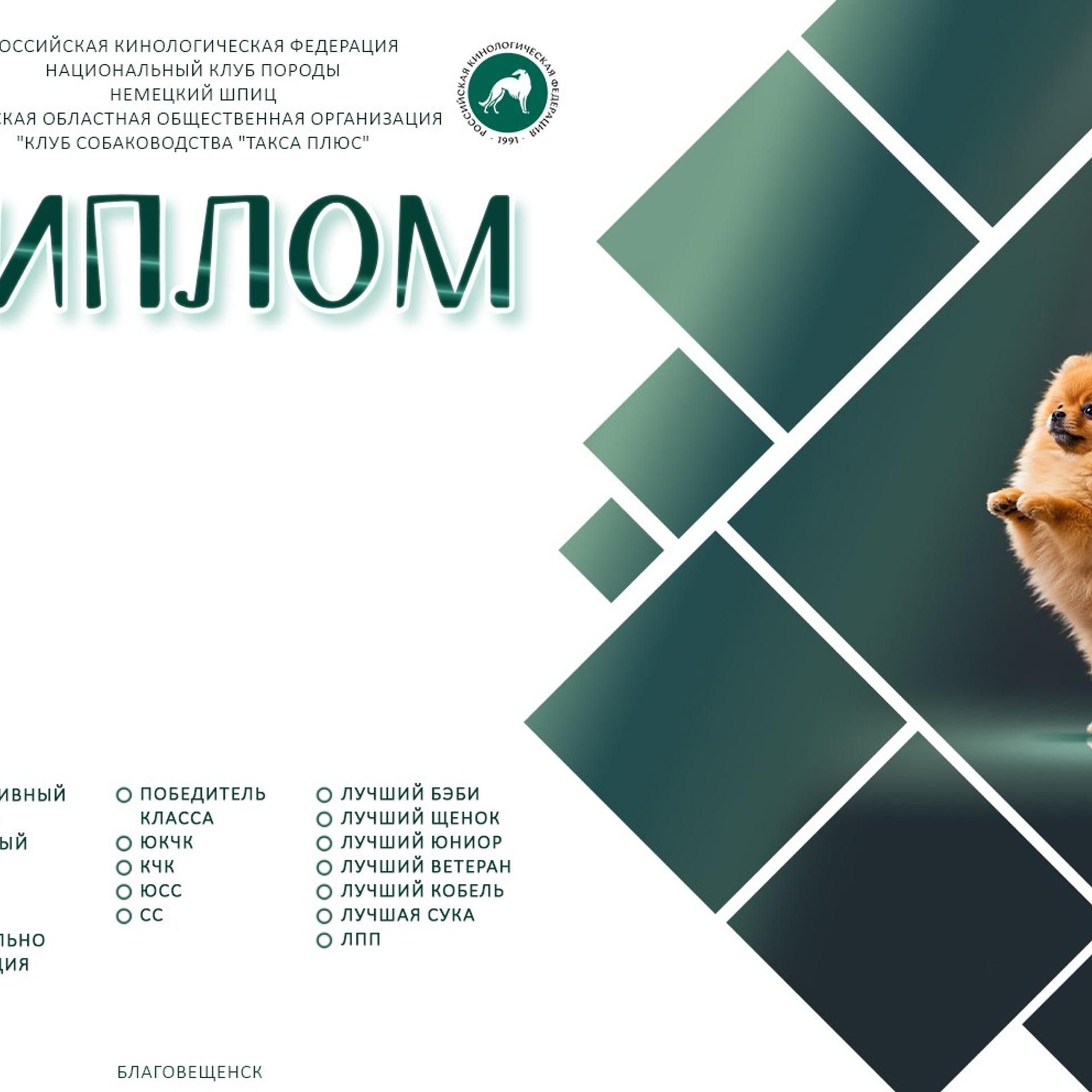 Дипломы, папки и ветпаспорта