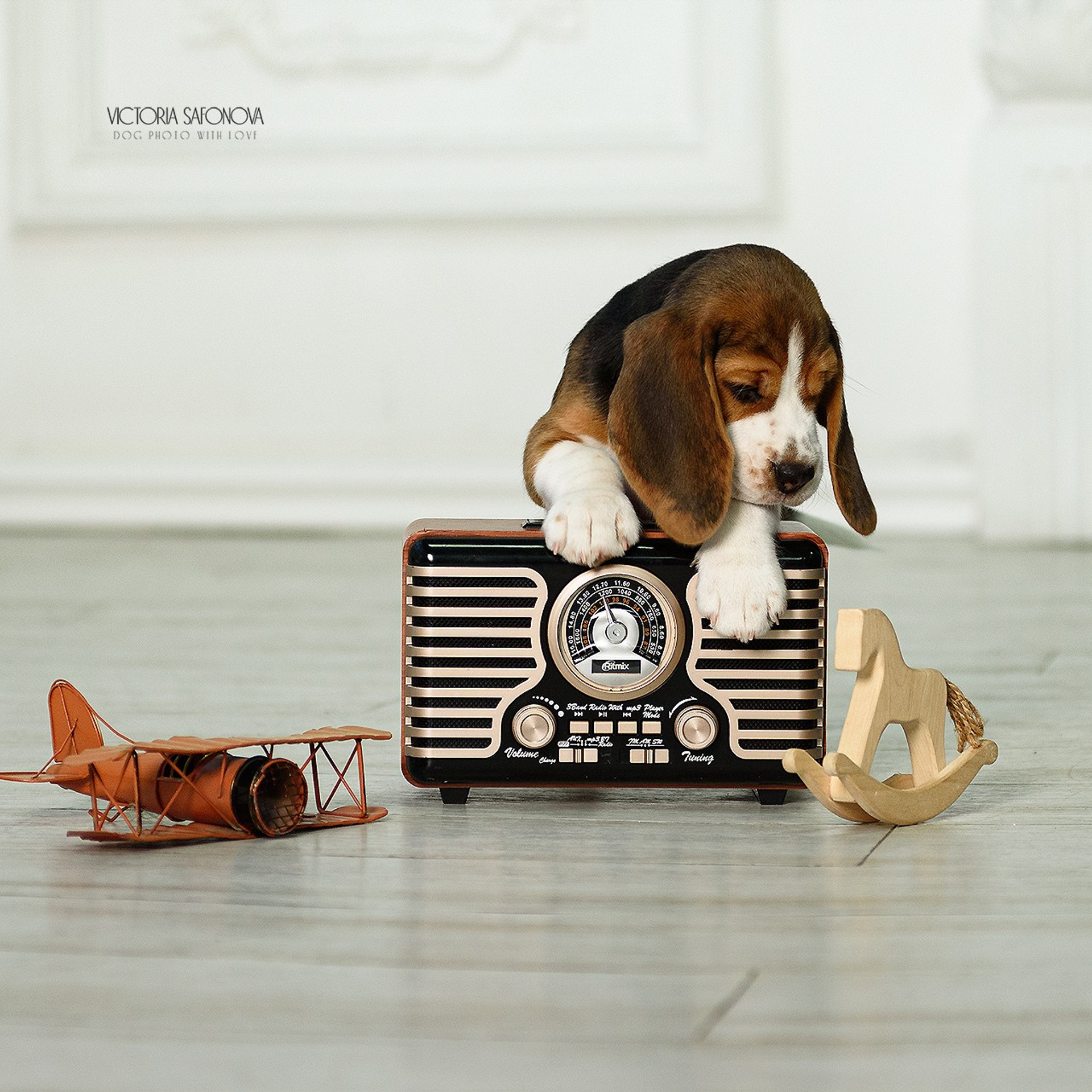 Бигли 20.05.2023