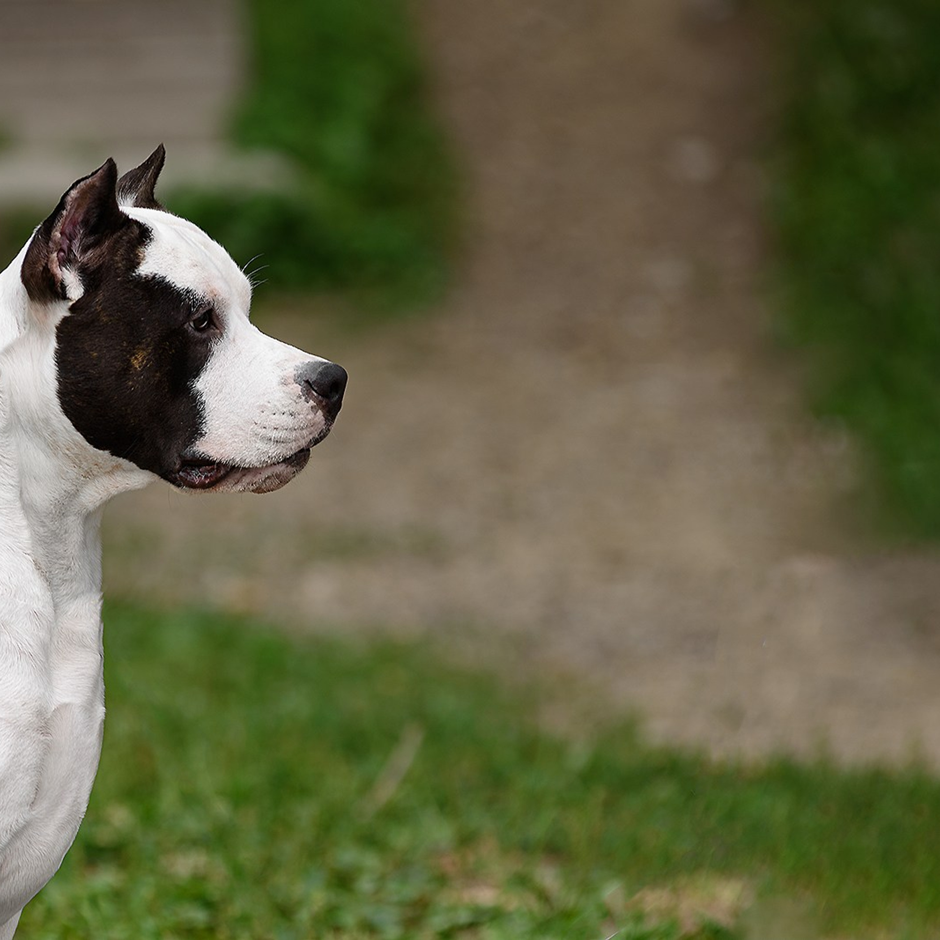 22 июля 2023 Биробиджан