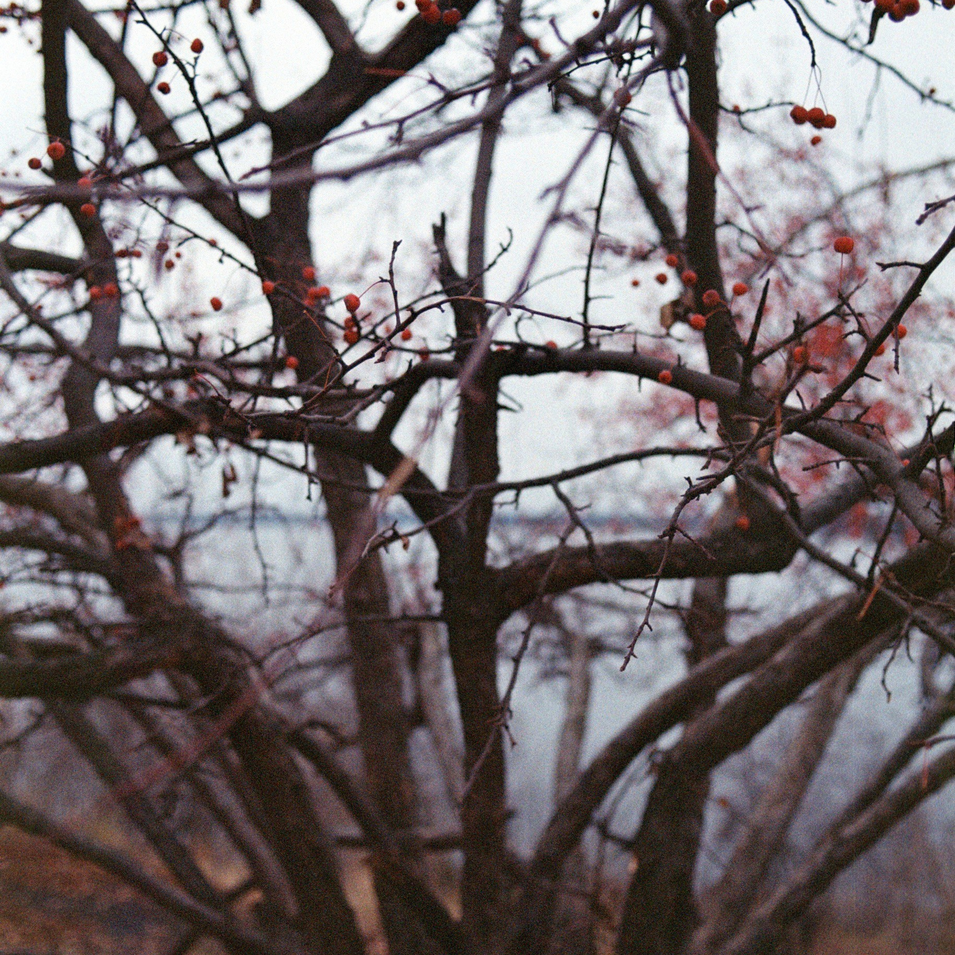 Город Самара