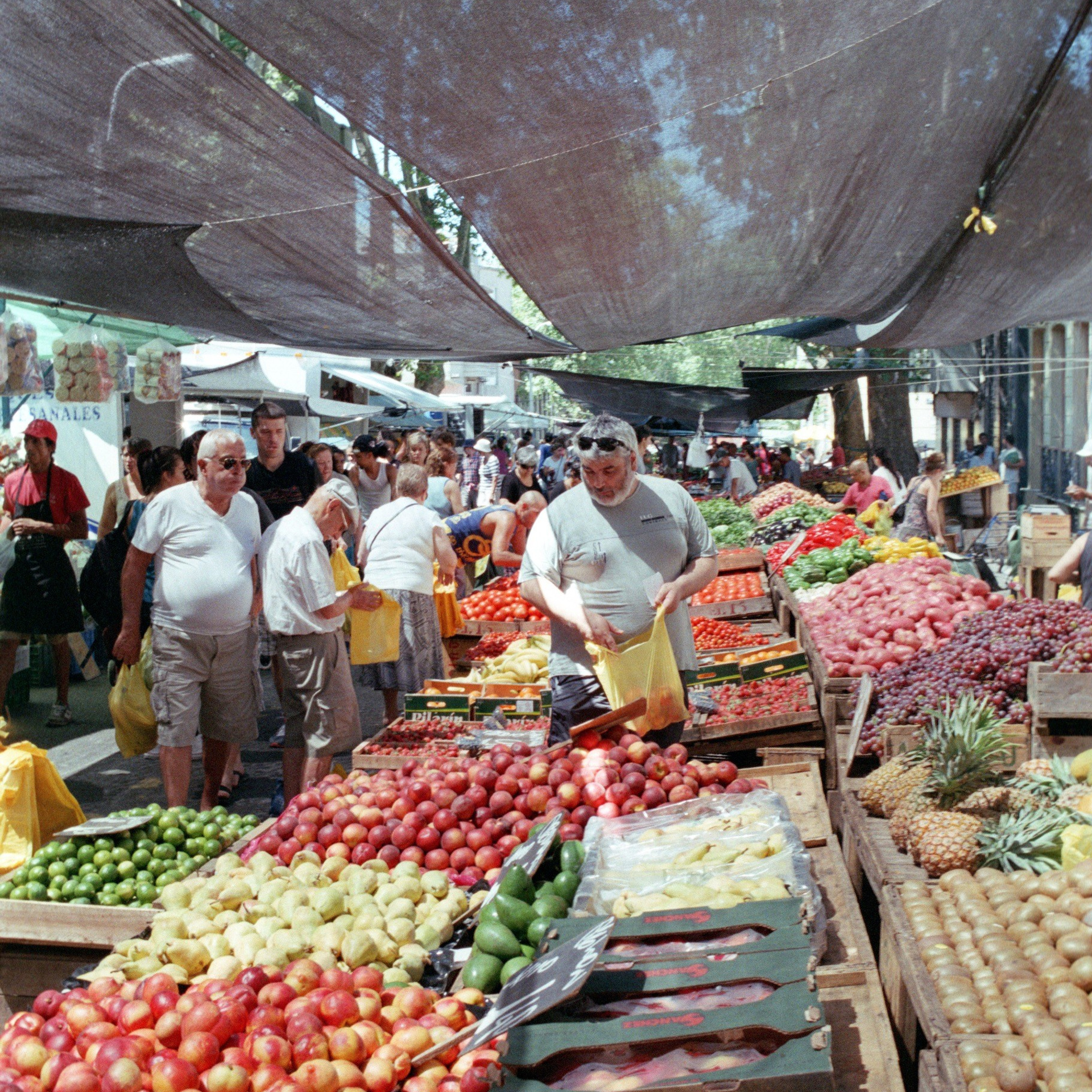 Город Монтевидео