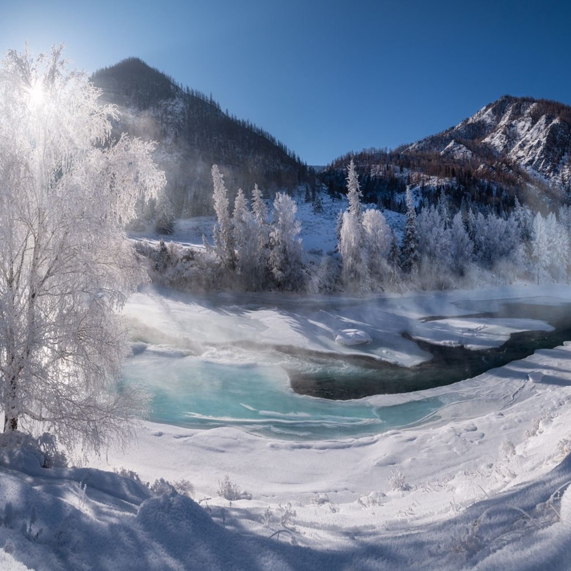 Фототур по зимнему Алтаю «Вдогонку лебединым песням». Профессиональный пейзажный фотограф Алёна Рубан