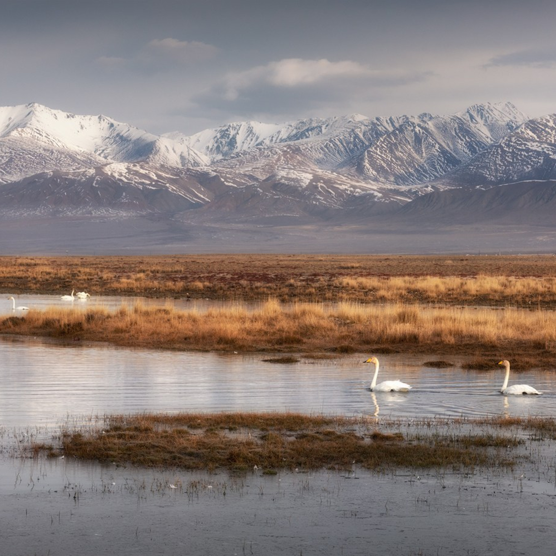 Фототур по Алтаю «В гости к ледникам». Профессиональный пейзажный фотограф Алёна Рубан