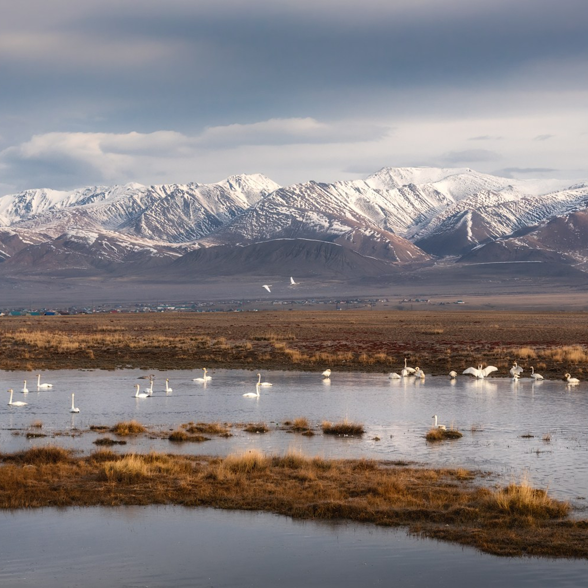 Фототур по осеннему Алтаю «Встречаем предзимье». Профессиональный пейзажный фотограф Алёна Рубан
