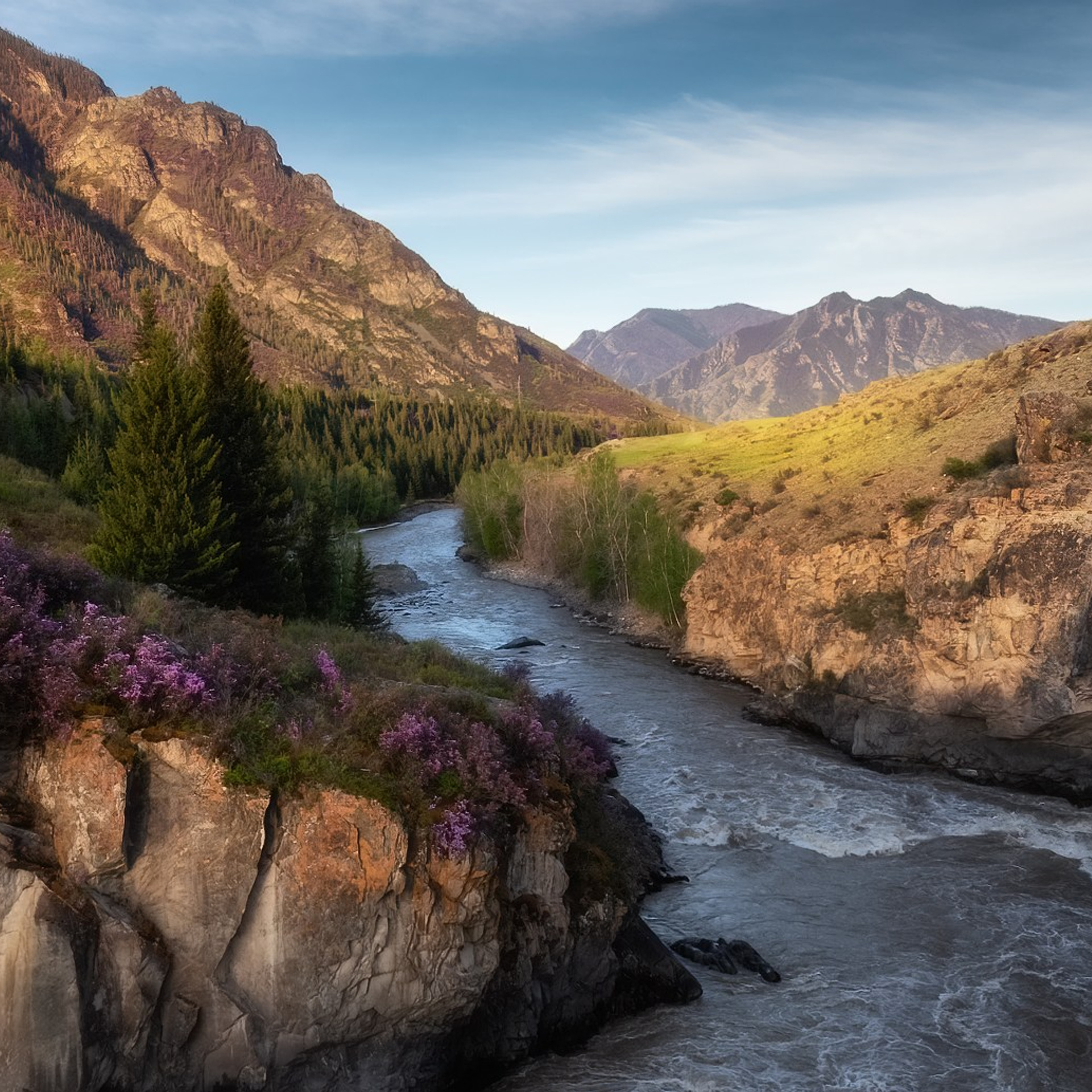 Фототур на Алтай Весеннее цветение. Профессиональный пейзажный фотограф Алёна Рубан