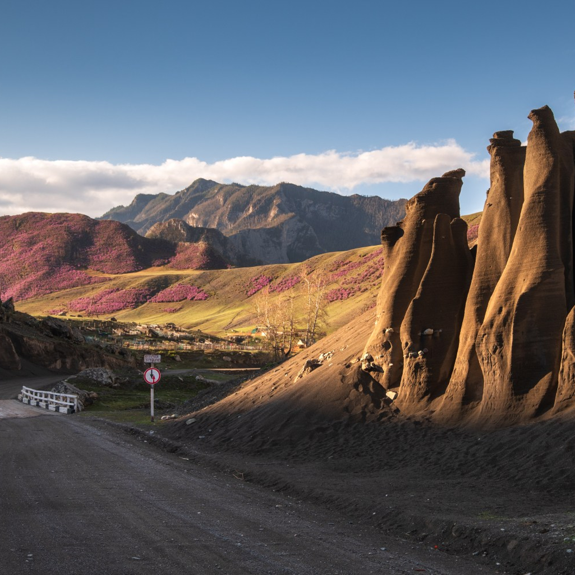 Фототур на Алтай Весеннее цветение. Профессиональный пейзажный фотограф Алёна Рубан
