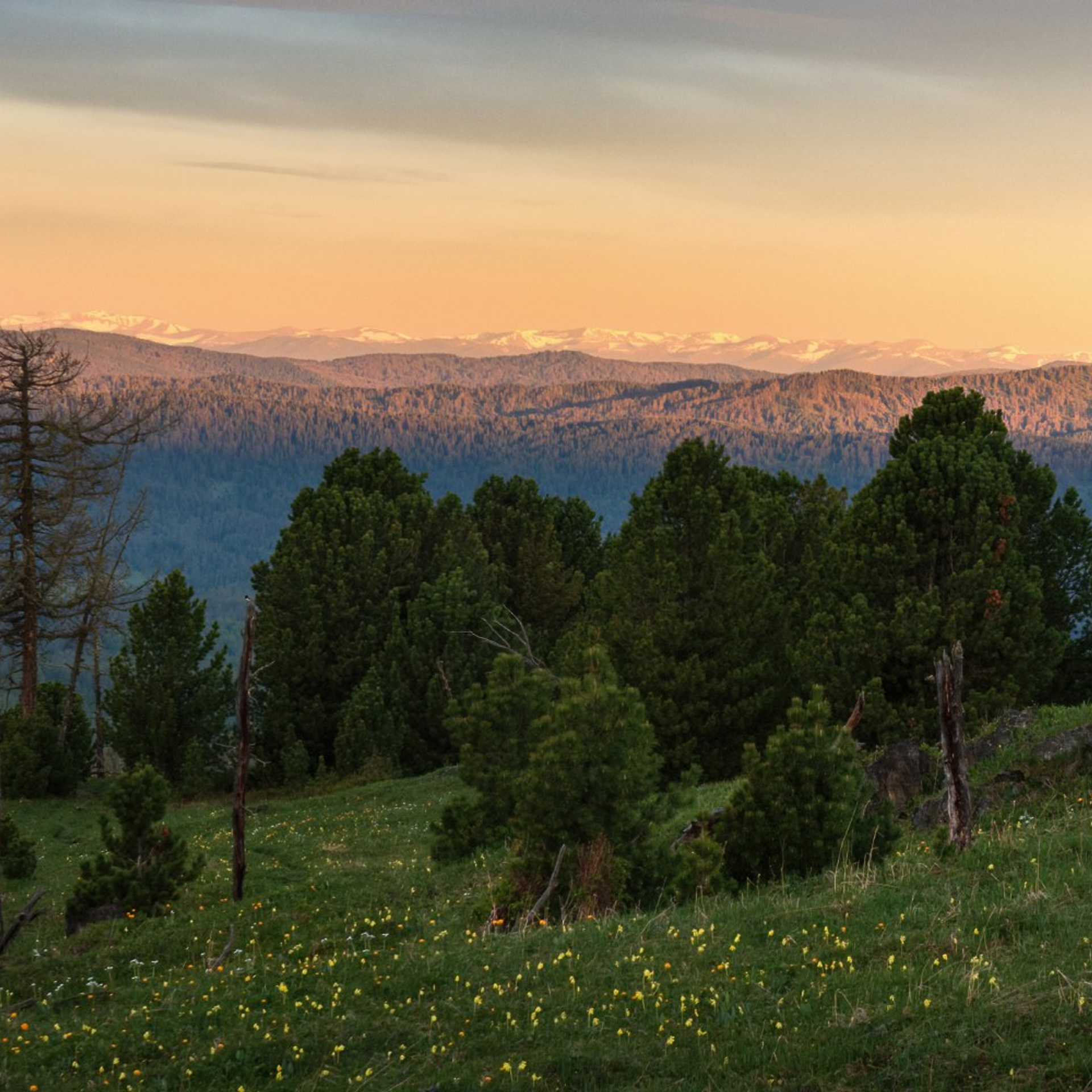 Фототур по Алтаю — Огоньки среднегорья и долина реки Аргут. Профессиональный пейзажный фотограф Алёна Рубан