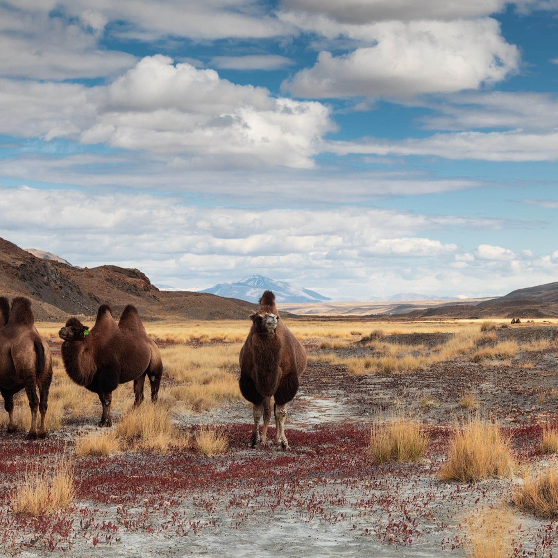 Фототур по Алтаю «В гости к ледникам». Профессиональный пейзажный фотограф Алёна Рубан