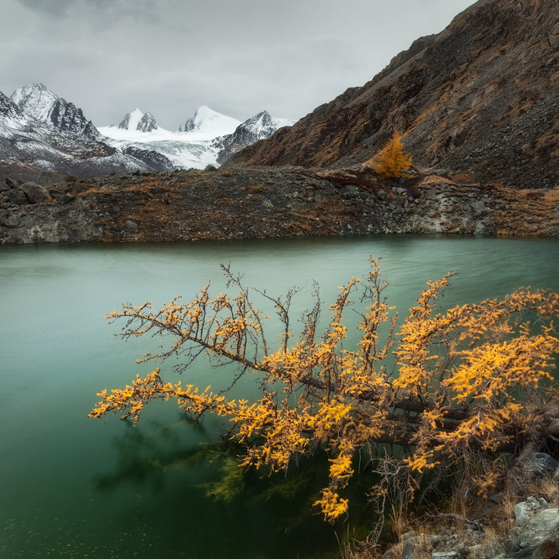 Фототур по Алтаю «В гости к ледникам». Профессиональный пейзажный фотограф Алёна Рубан