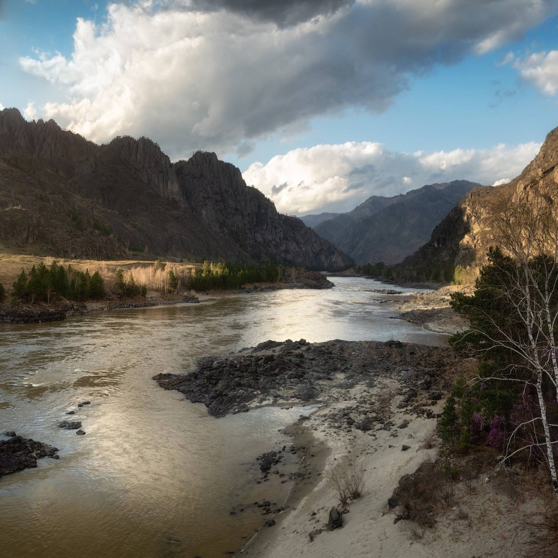 Фототур на Алтай Весеннее цветение. Профессиональный пейзажный фотограф Алёна Рубан