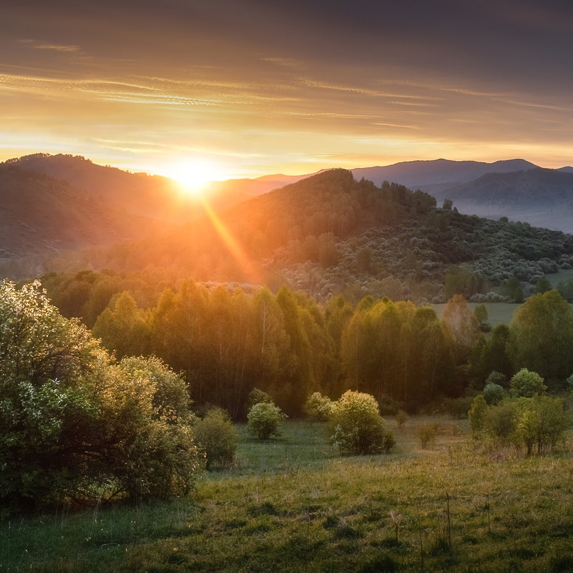 Фототур на Алтай Весеннее цветение. Профессиональный пейзажный фотограф Алёна Рубан