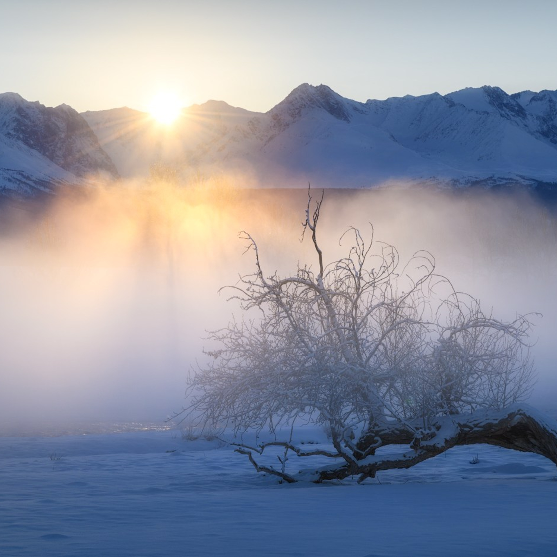 Фототур по зимнему Алтаю «Вдогонку лебединым песням». Профессиональный пейзажный фотограф Алёна Рубан