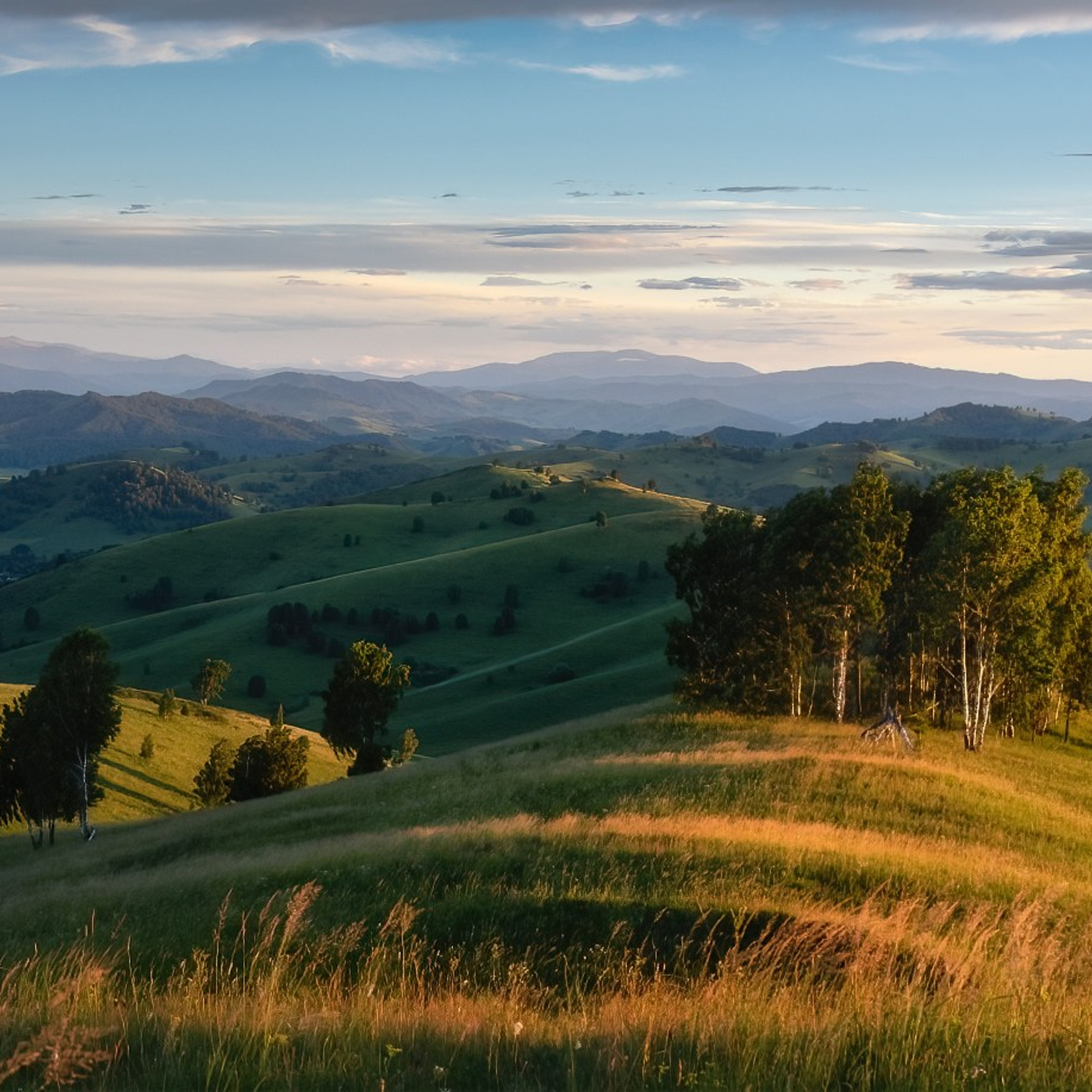 Фототур по Алтаю — Огоньки среднегорья и долина реки Аргут. Профессиональный пейзажный фотограф Алёна Рубан