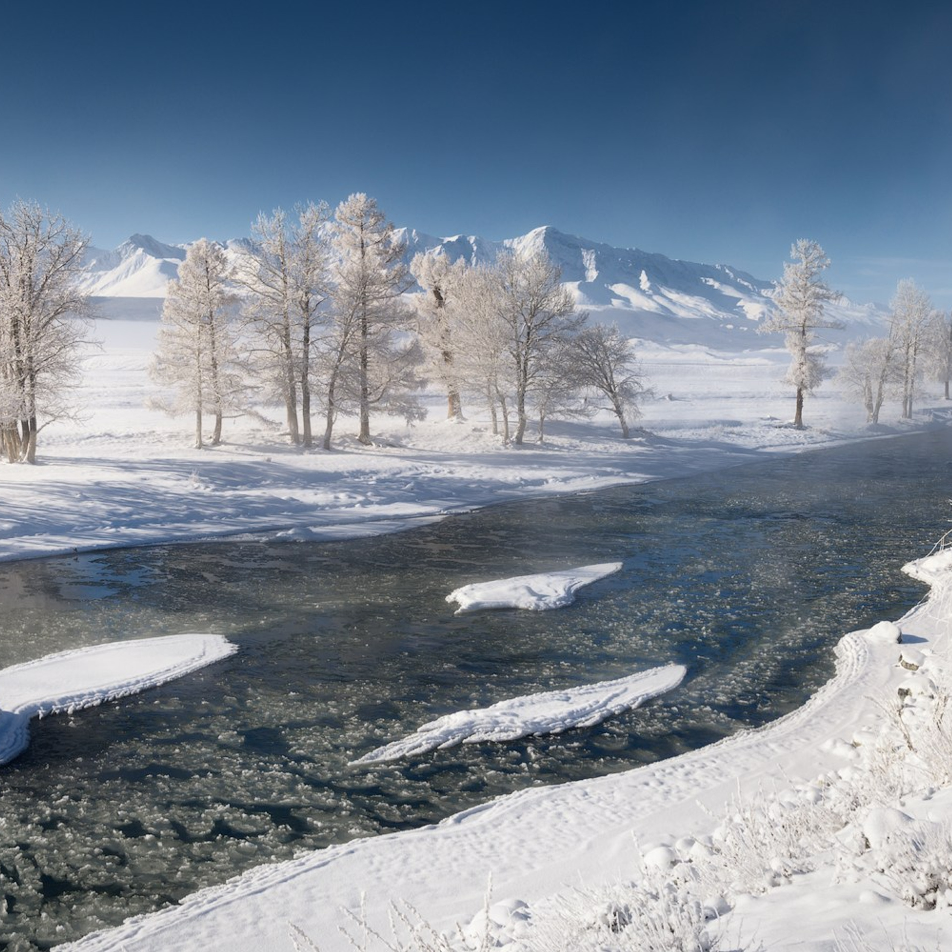 Фототур на Алтай в декабре «Безлюдный Алтай»