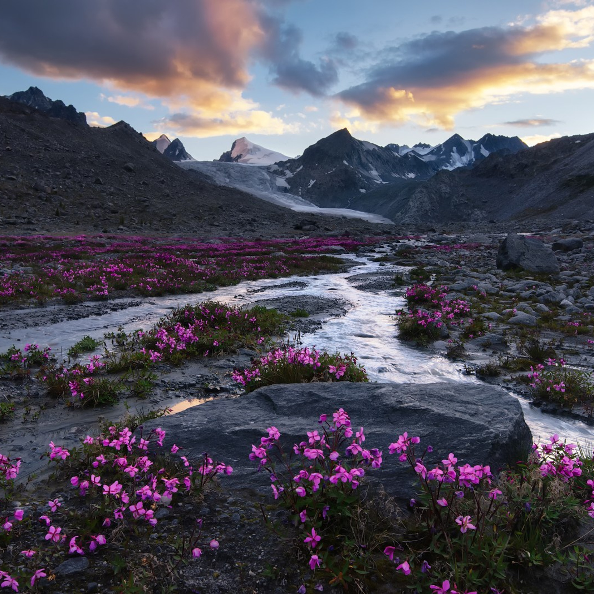 Фототур «Летнее высокогорье Алтая». Профессиональный пейзажный фотограф Алёна Рубан