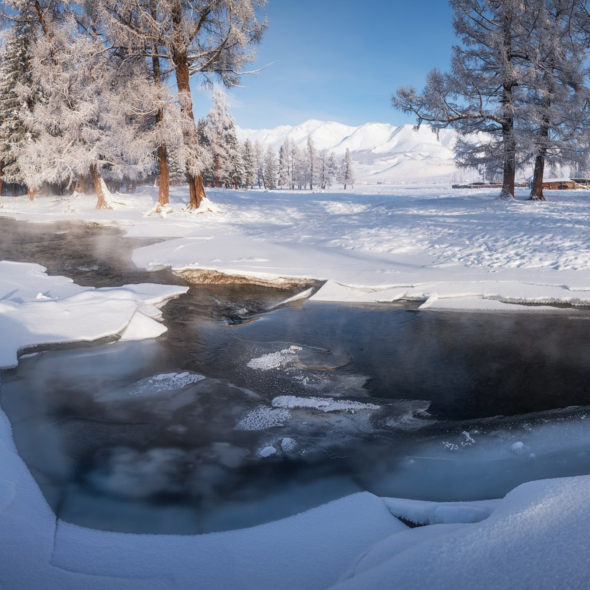 Фототур по зимнему Алтаю «Вдогонку лебединым песням». Профессиональный пейзажный фотограф Алёна Рубан
