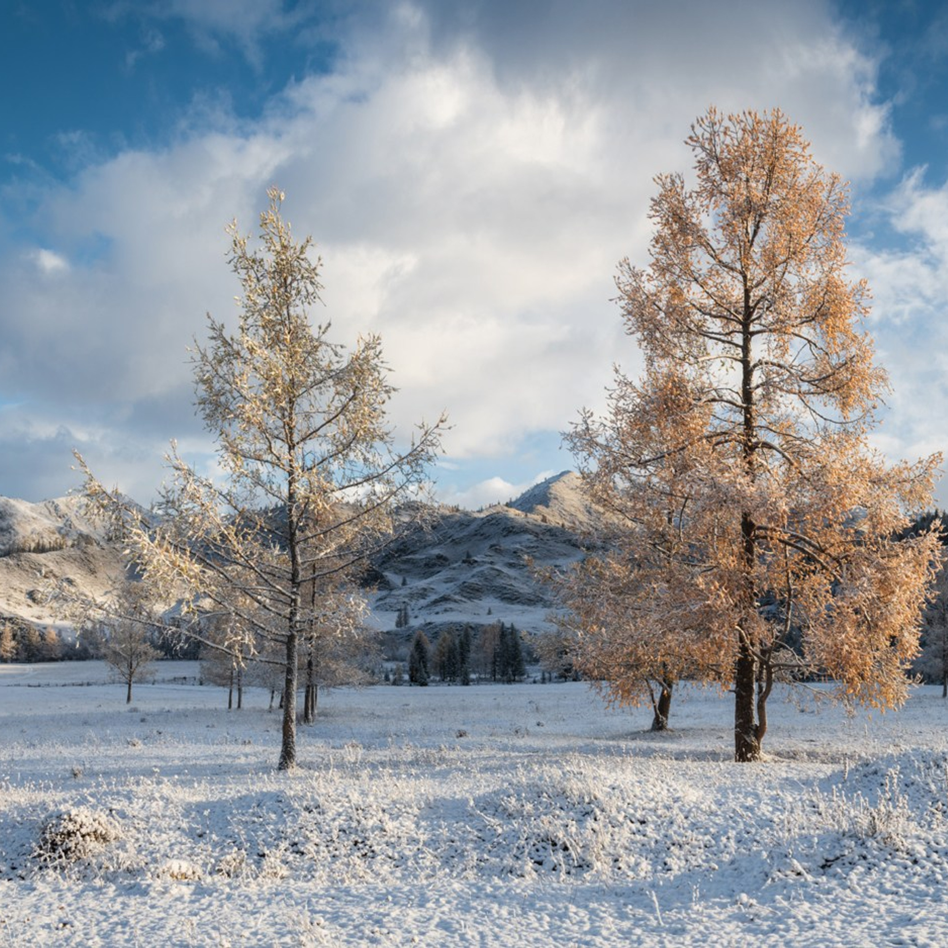 Фототур по осеннему Алтаю «Встречаем предзимье». Профессиональный пейзажный фотограф Алёна Рубан
