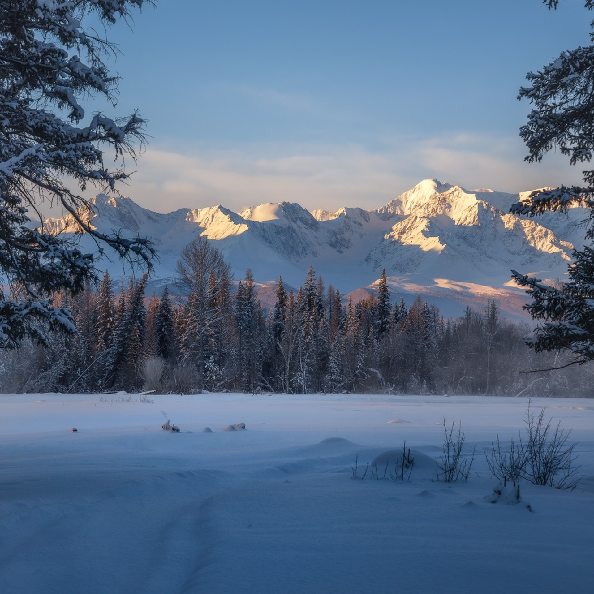 Фототур по зимнему Алтаю «Вдогонку лебединым песням». Профессиональный пейзажный фотограф Алёна Рубан