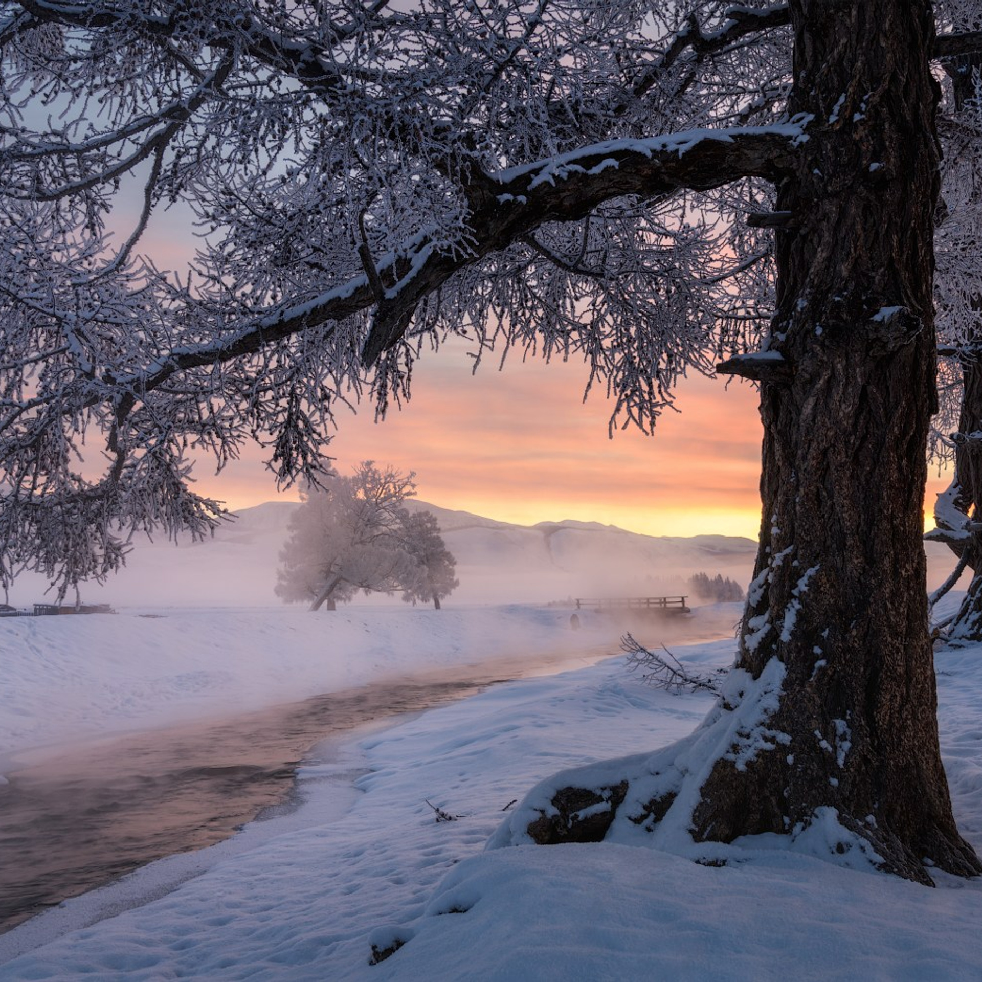 Фототур по зимнему Алтаю «Вдогонку лебединым песням». Профессиональный пейзажный фотограф Алёна Рубан