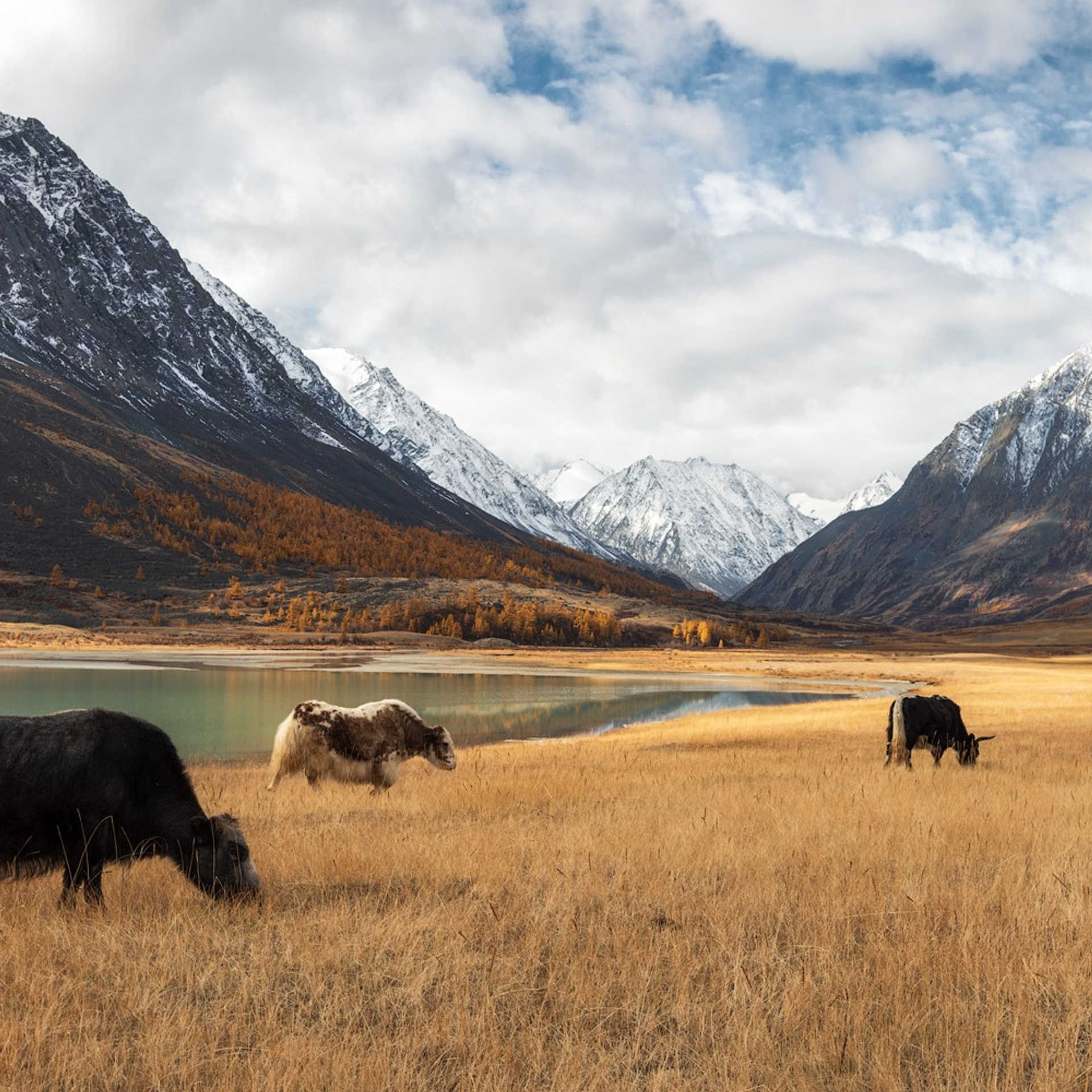Фототур по Алтаю «В гости к ледникам». Профессиональный пейзажный фотограф Алёна Рубан