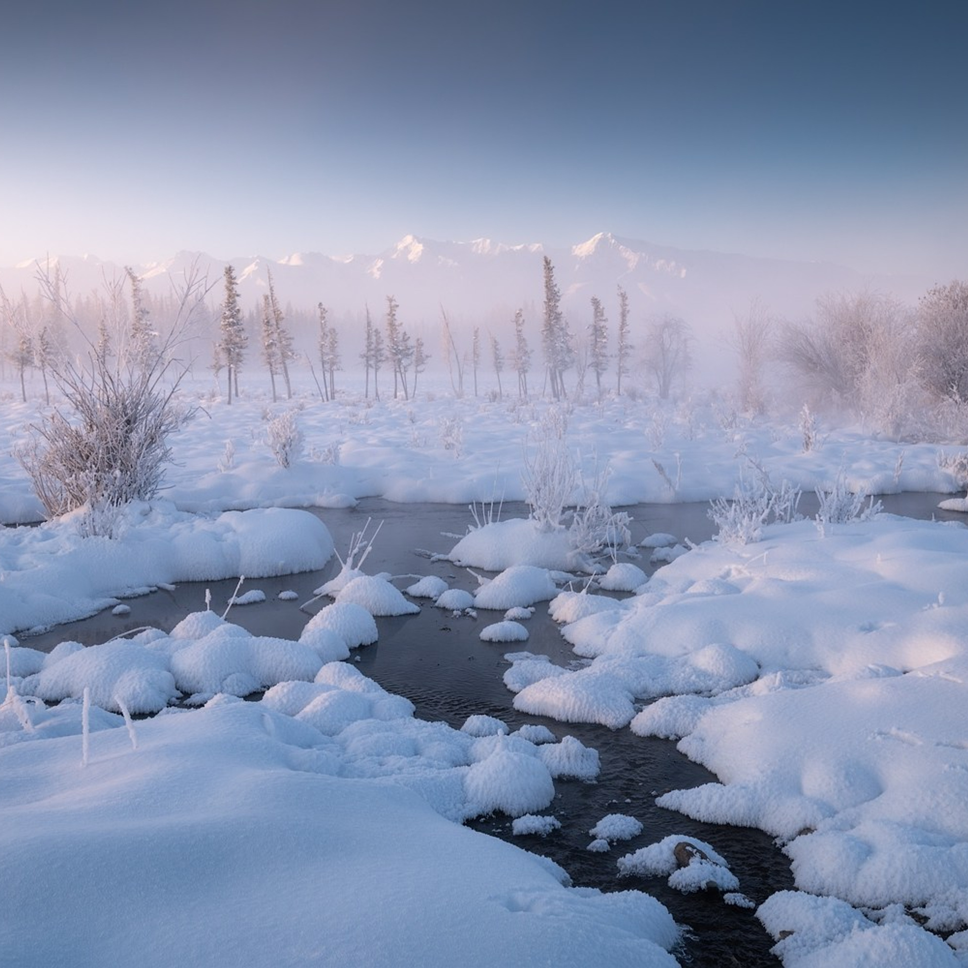 Фототур по зимнему Алтаю «Вдогонку лебединым песням». Профессиональный пейзажный фотограф Алёна Рубан