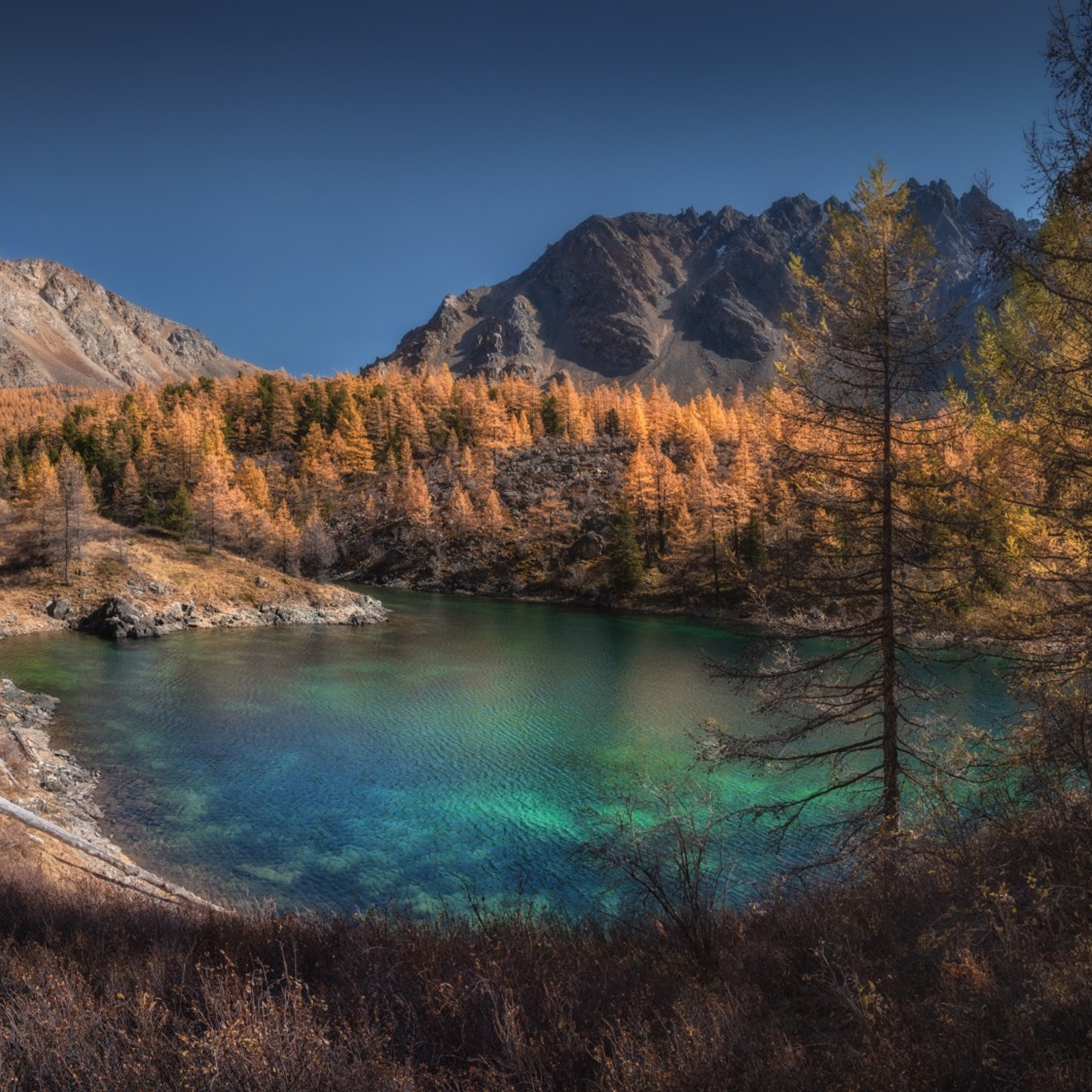 Фототур по Алтаю «В гости к ледникам». Профессиональный пейзажный фотограф Алёна Рубан