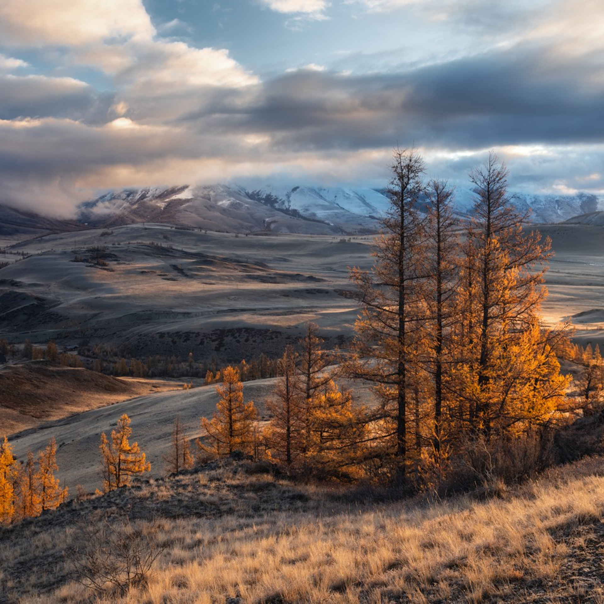 Фототур по осеннему Алтаю «Встречаем предзимье». Профессиональный пейзажный фотограф Алёна Рубан