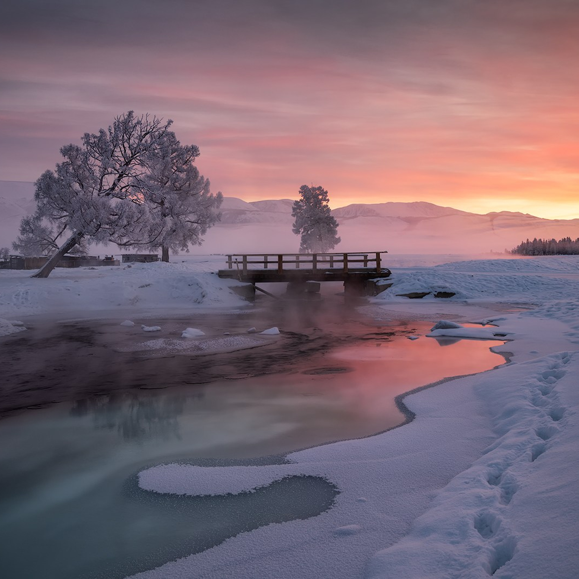 Фототур по зимнему Алтаю «Вдогонку лебединым песням». Профессиональный пейзажный фотограф Алёна Рубан