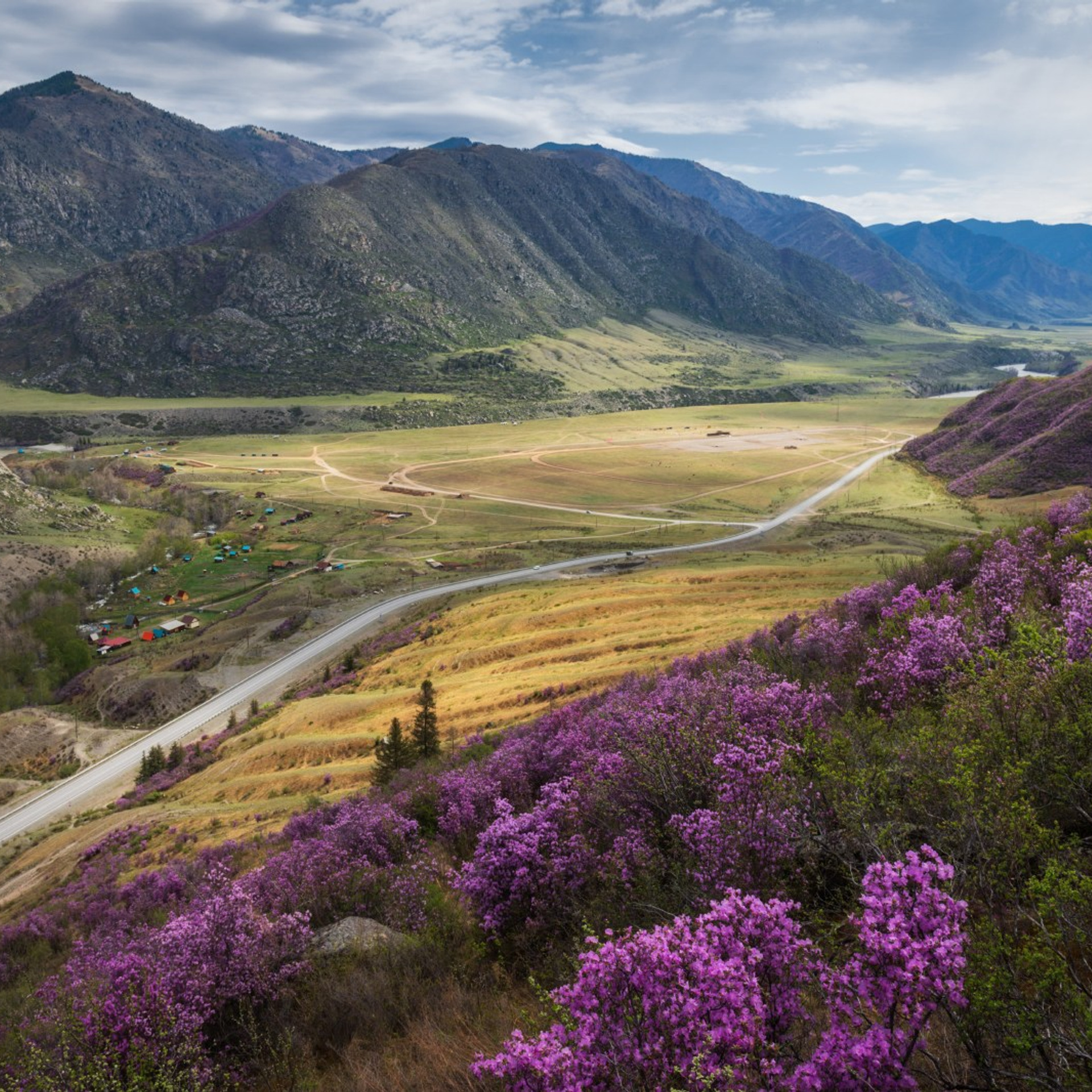 Фототур на Алтай Весеннее цветение. Профессиональный пейзажный фотограф Алёна Рубан